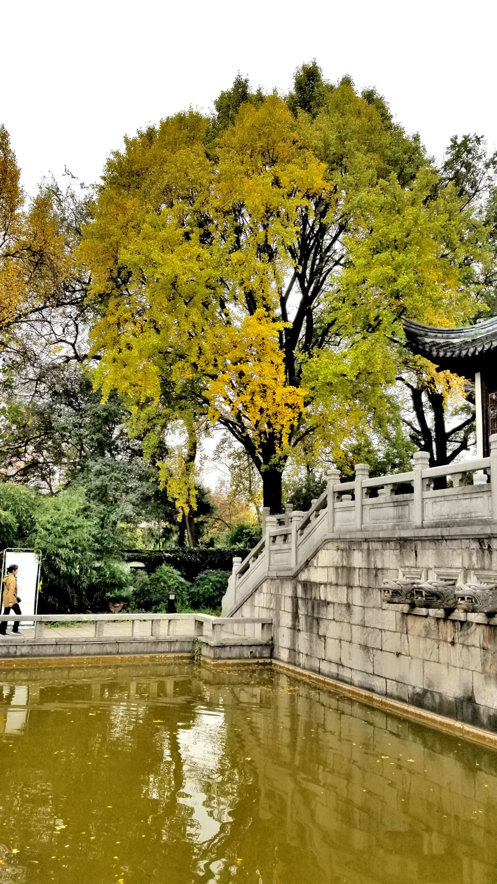 20201121_094710 m2.jpg