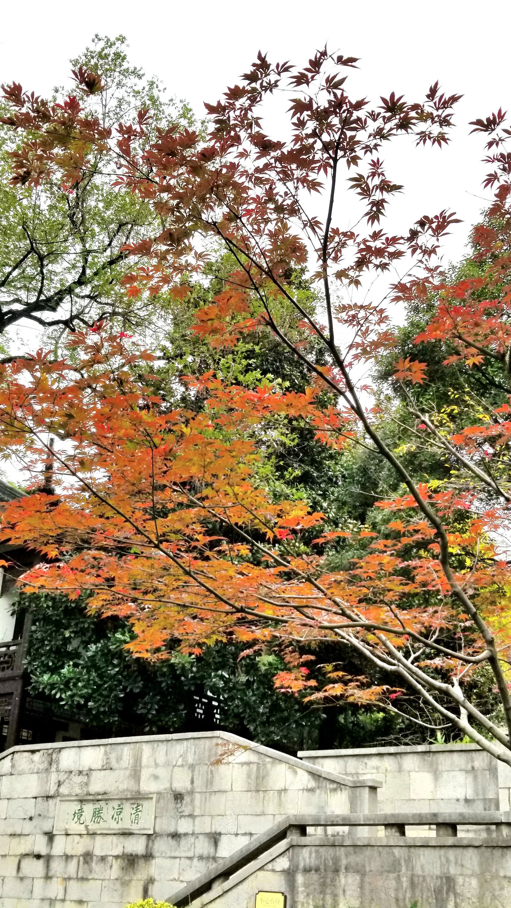 20201121_100515 gg.jpg