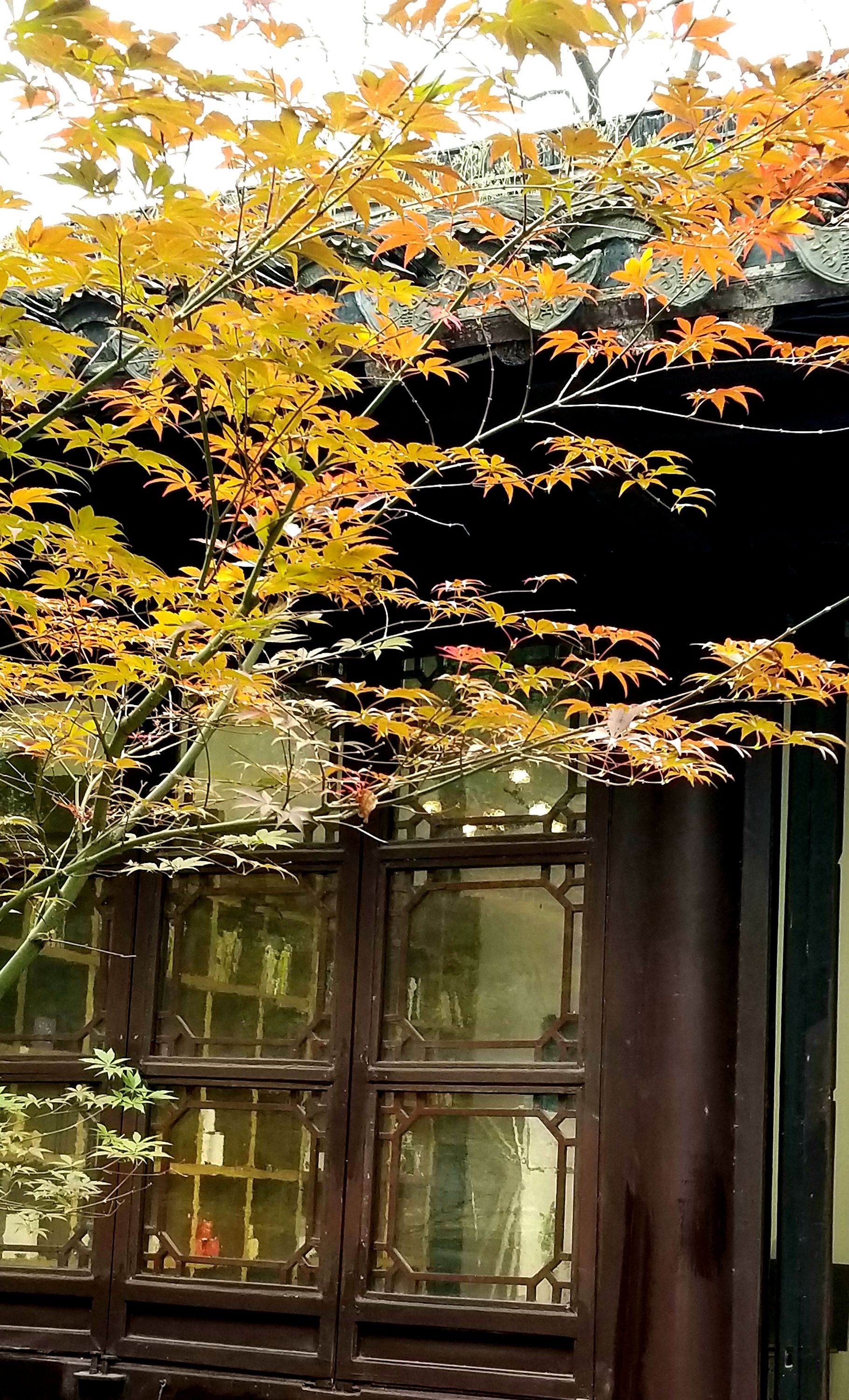 20201121_132856 m.jpg