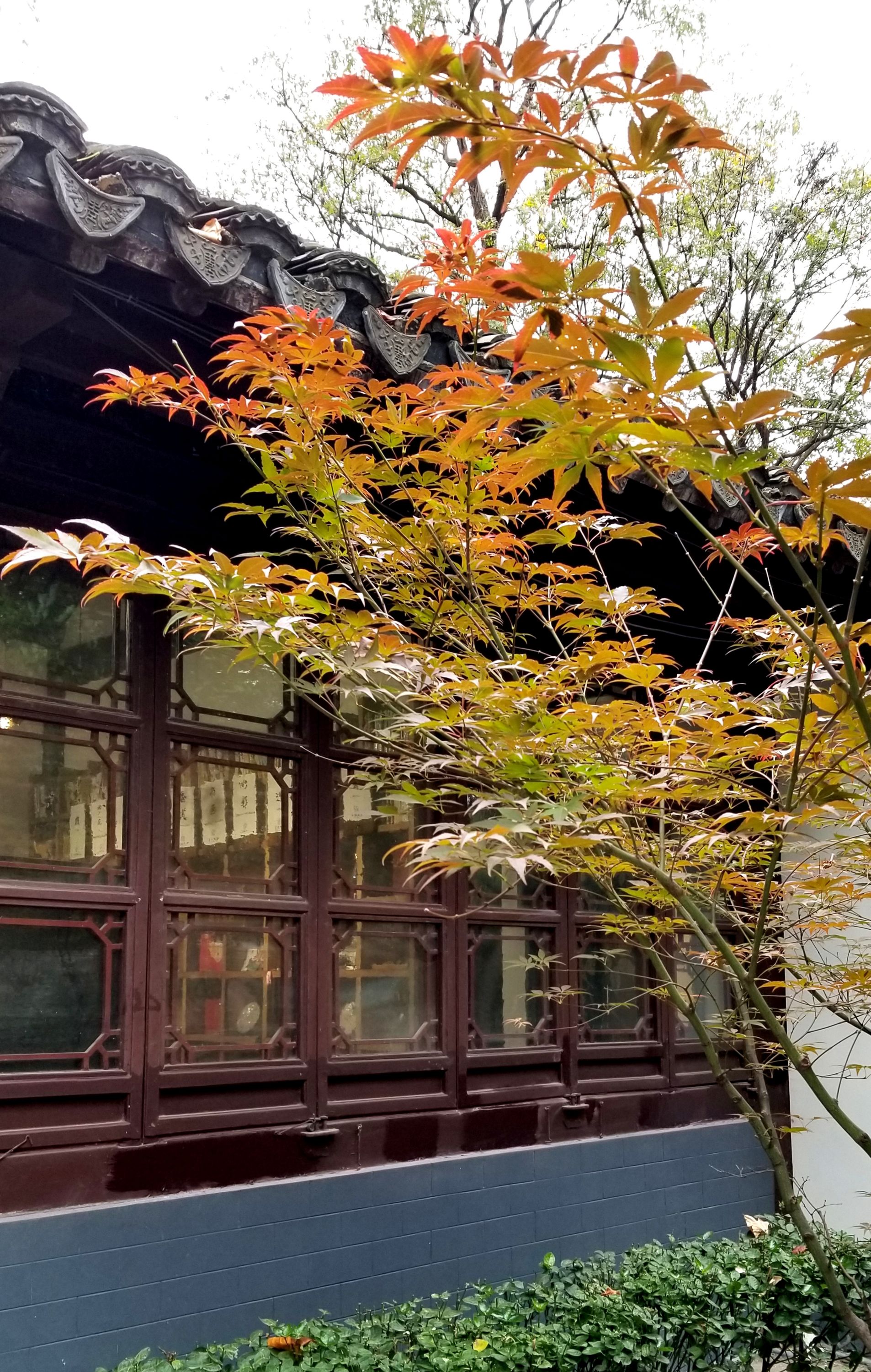 20201121_132954 m.jpg