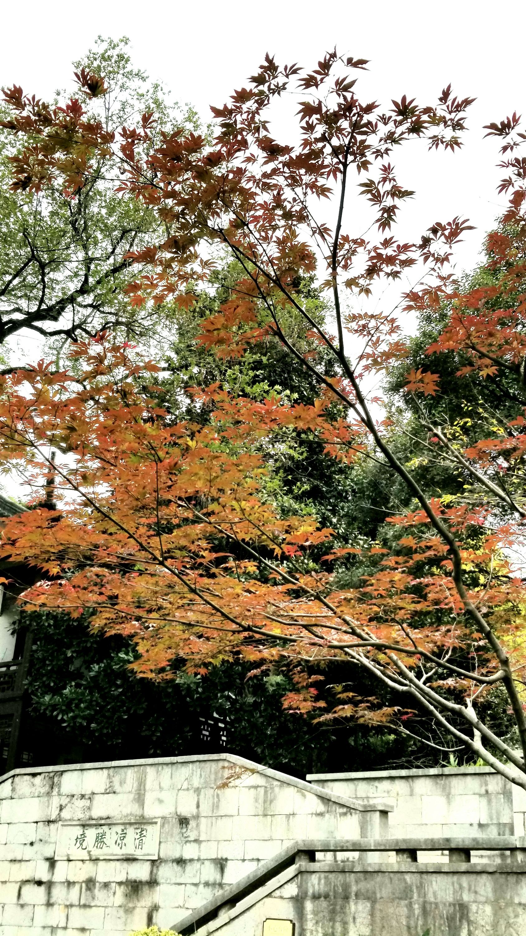 20201121_133428 m.jpg