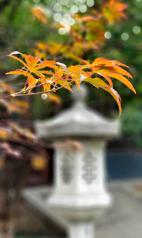 20201121_101022 m.jpg