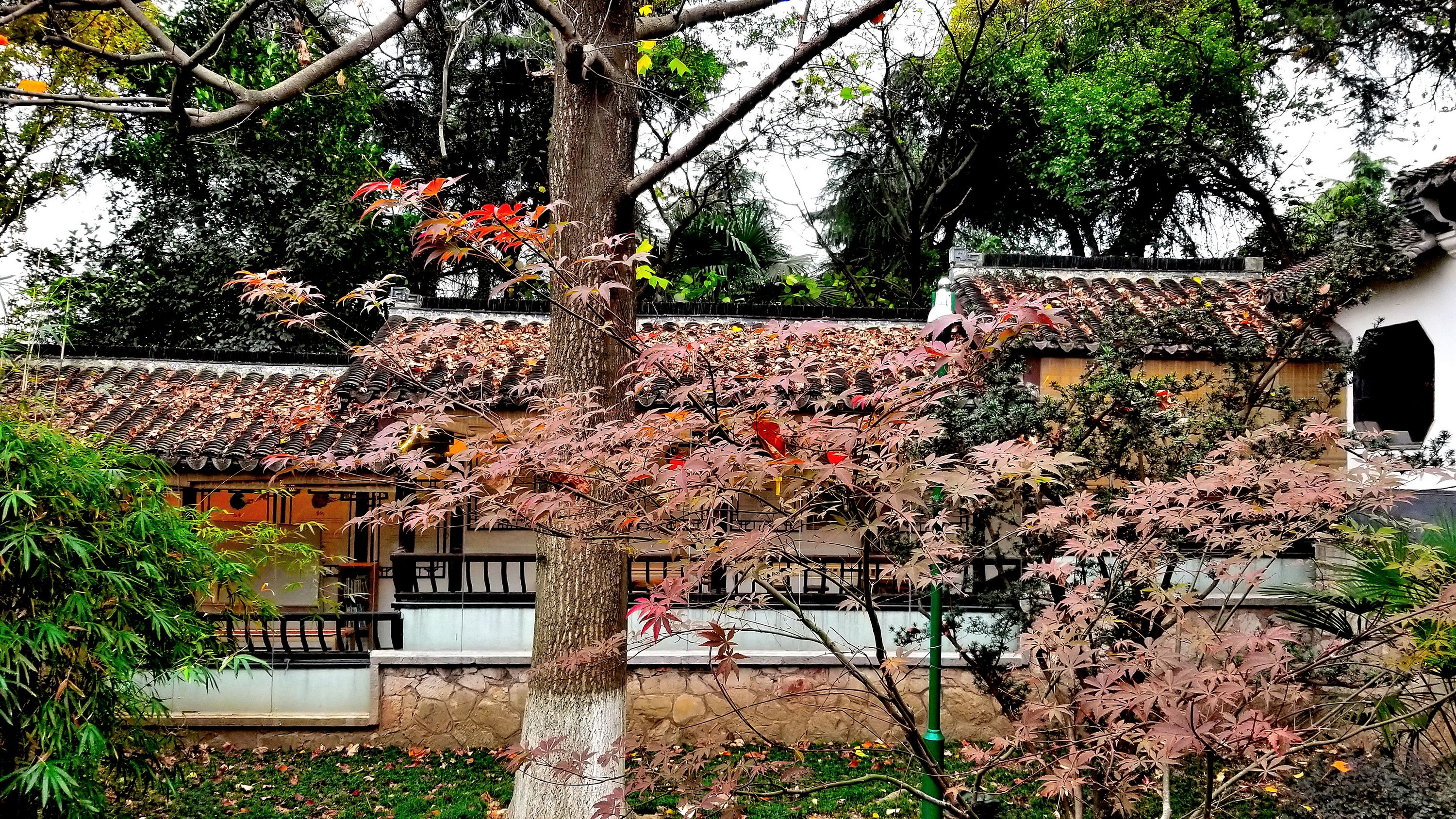 20201121_100843 m.jpg