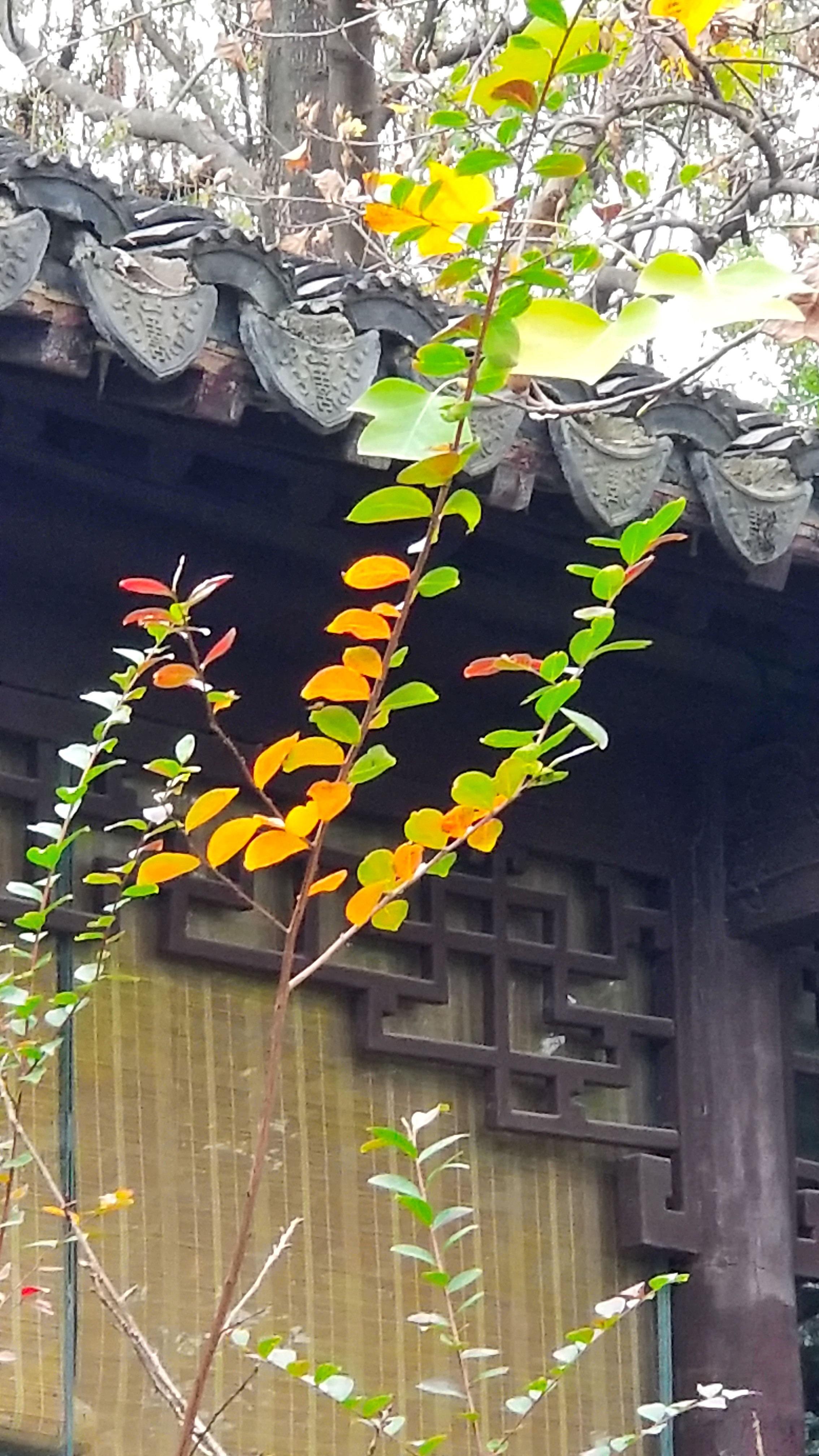 20201121_101443.jpg