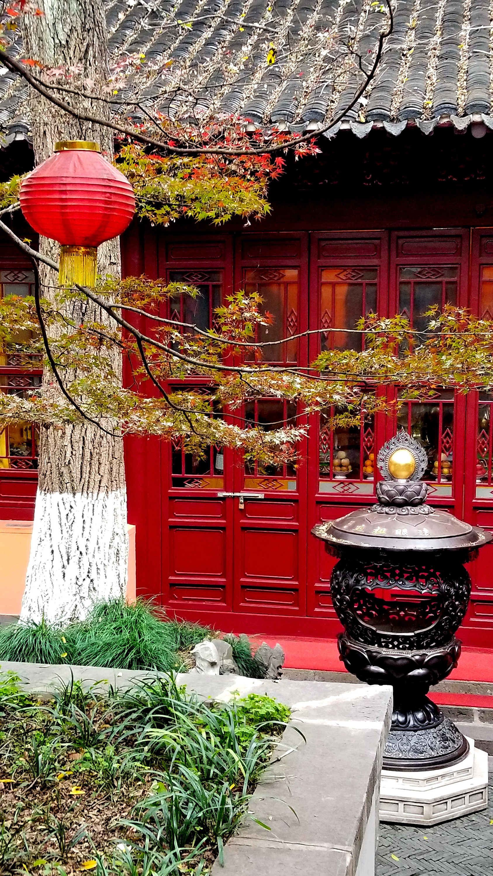 20201121_103205 m.jpg