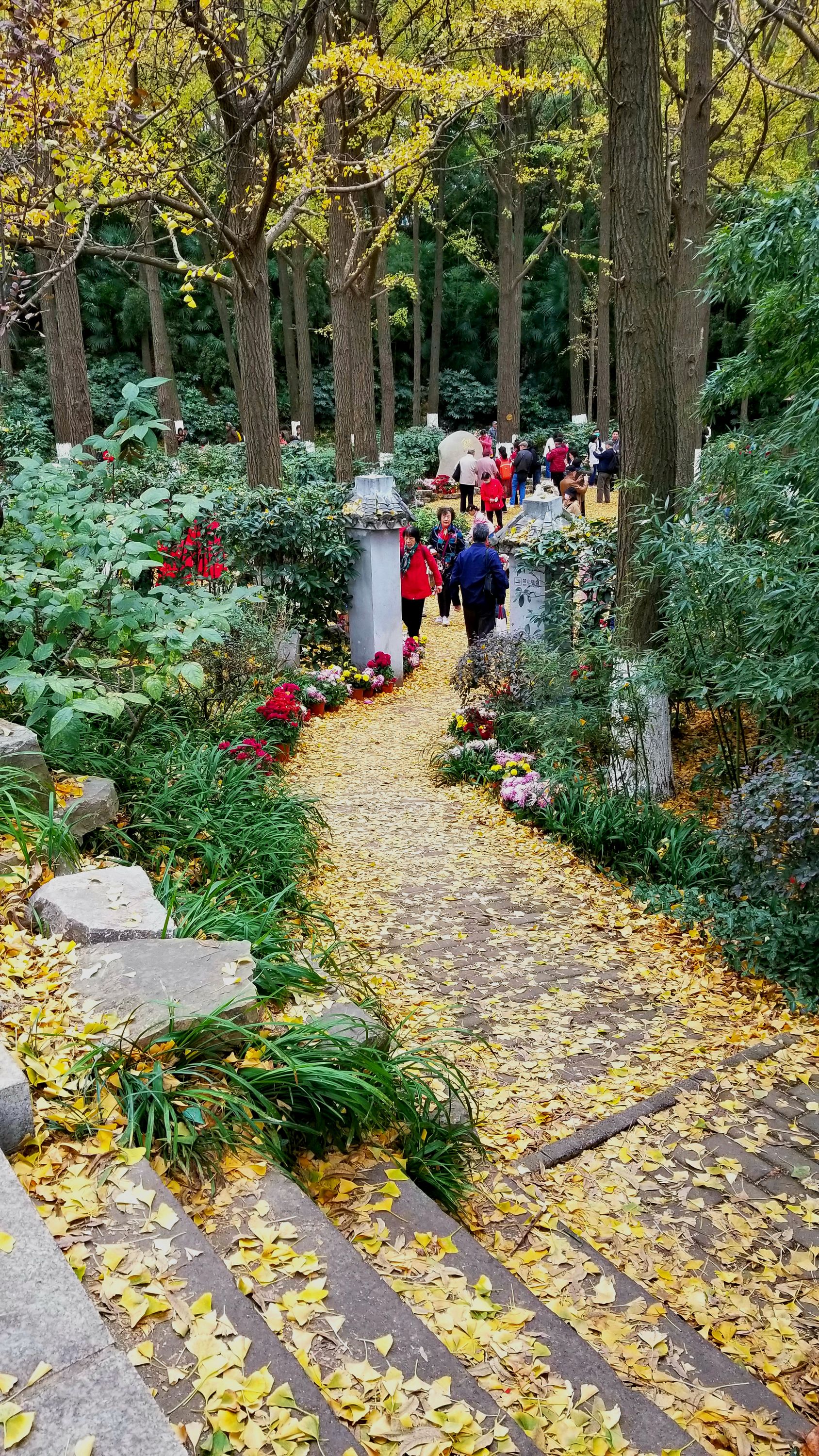 20201121_131928 m.jpg