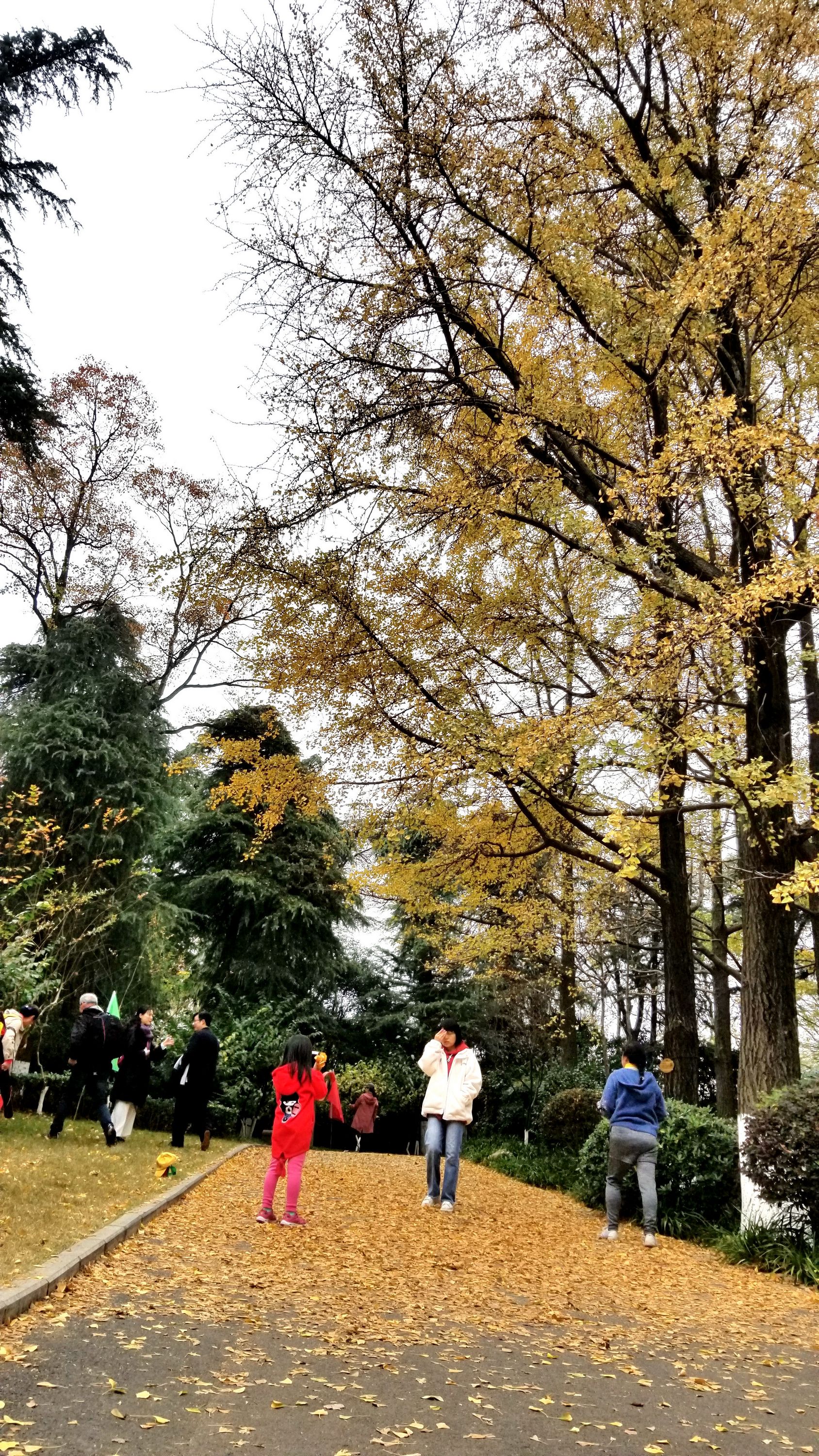 20201121_104617g.jpg