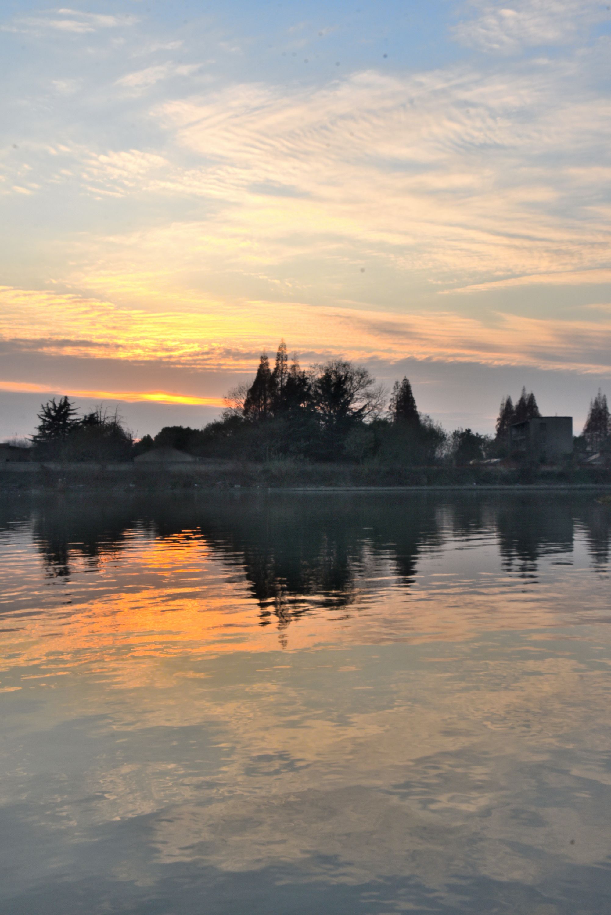 DSC_4343 n2.jpg