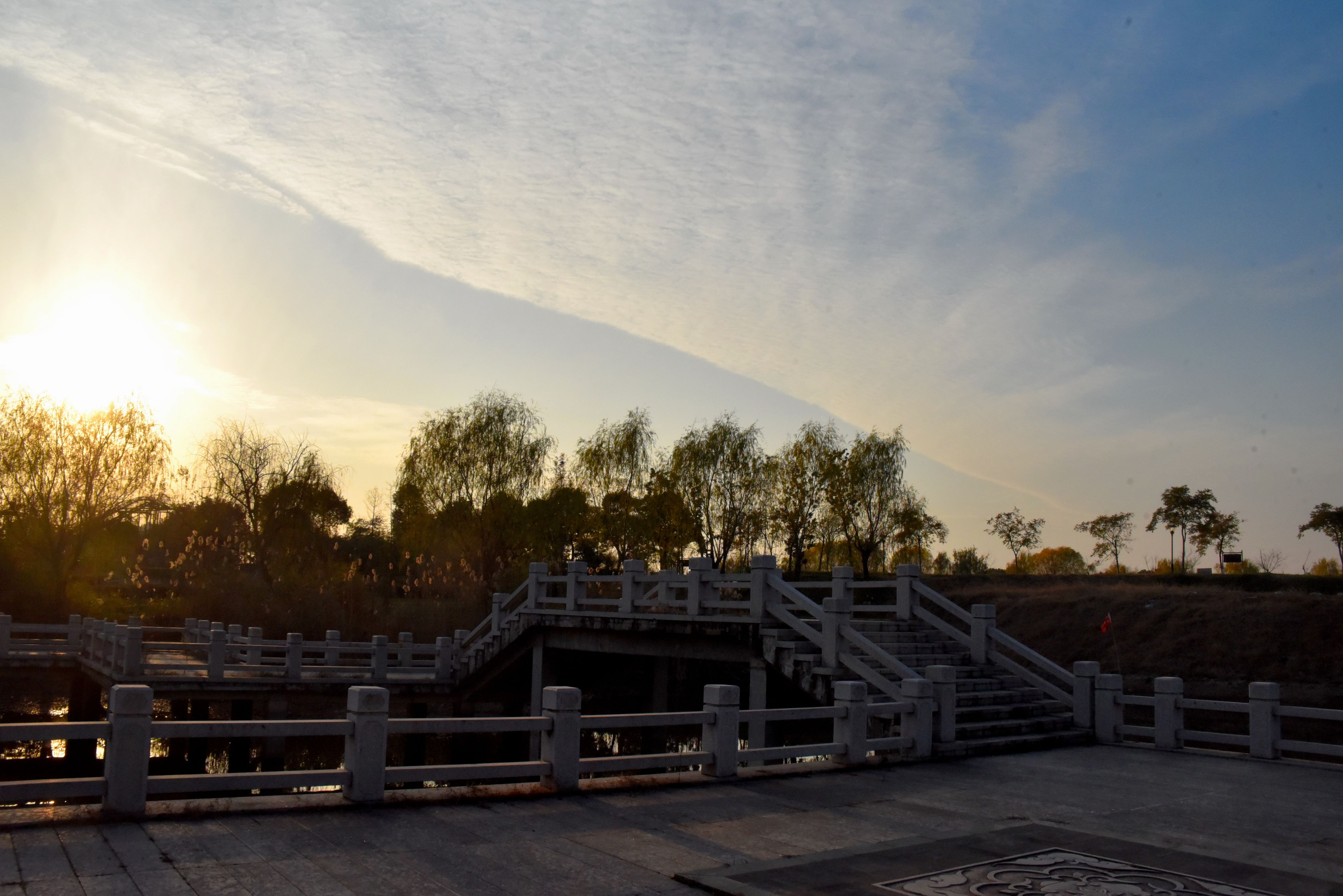 DSC_4319 n2.jpg