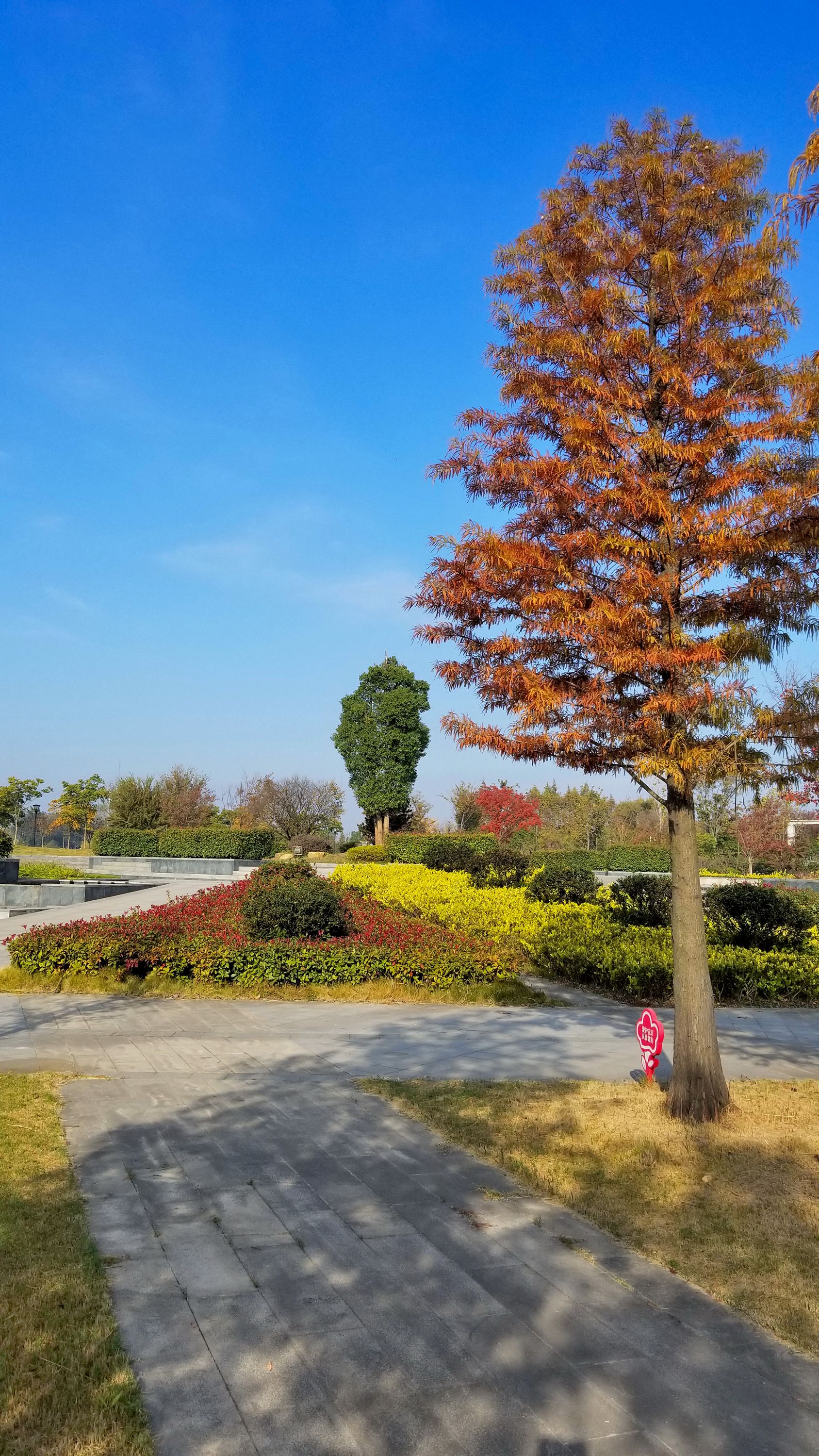 20201114_085351m.jpg
