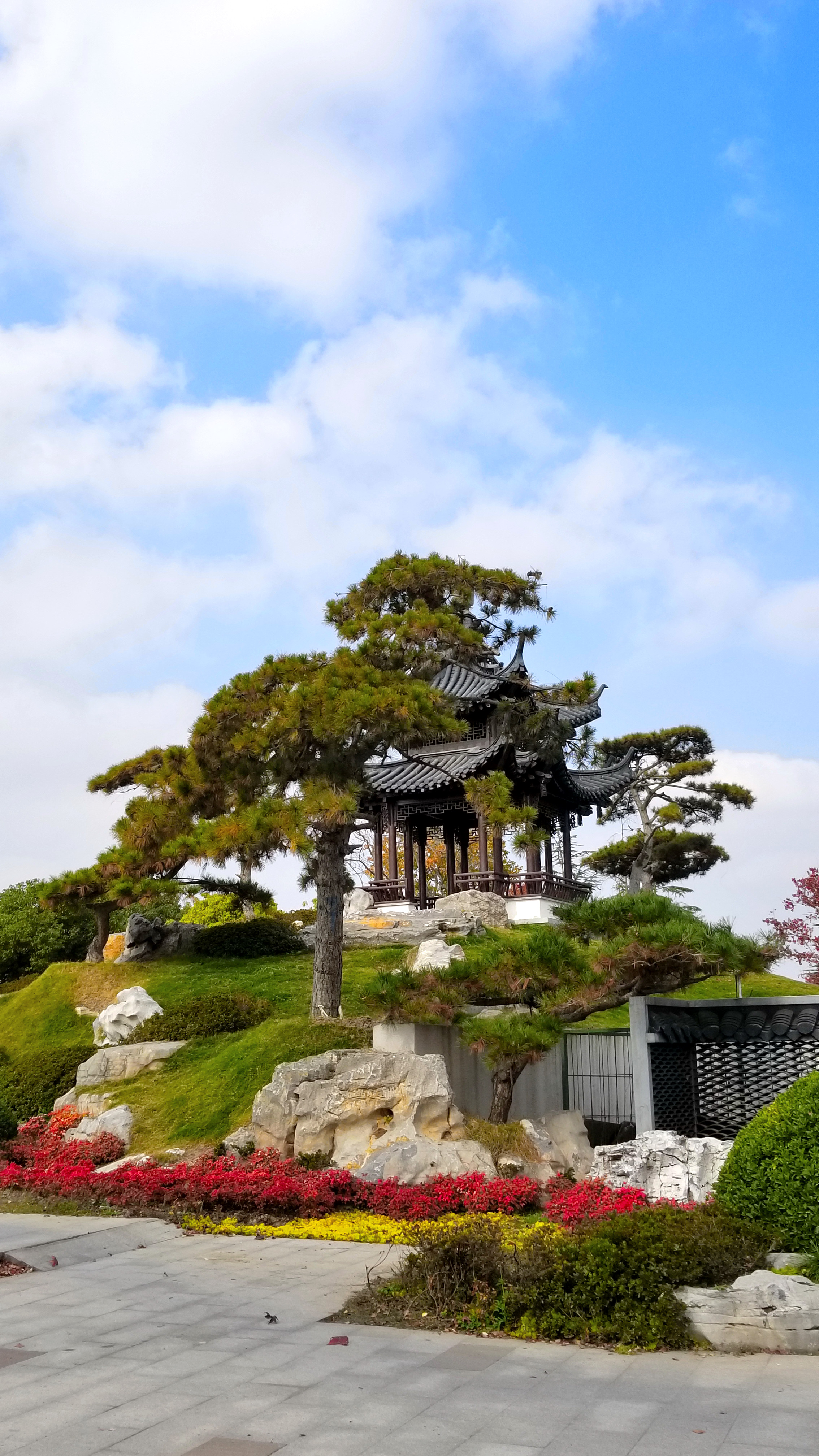 20201114_103059.jpg