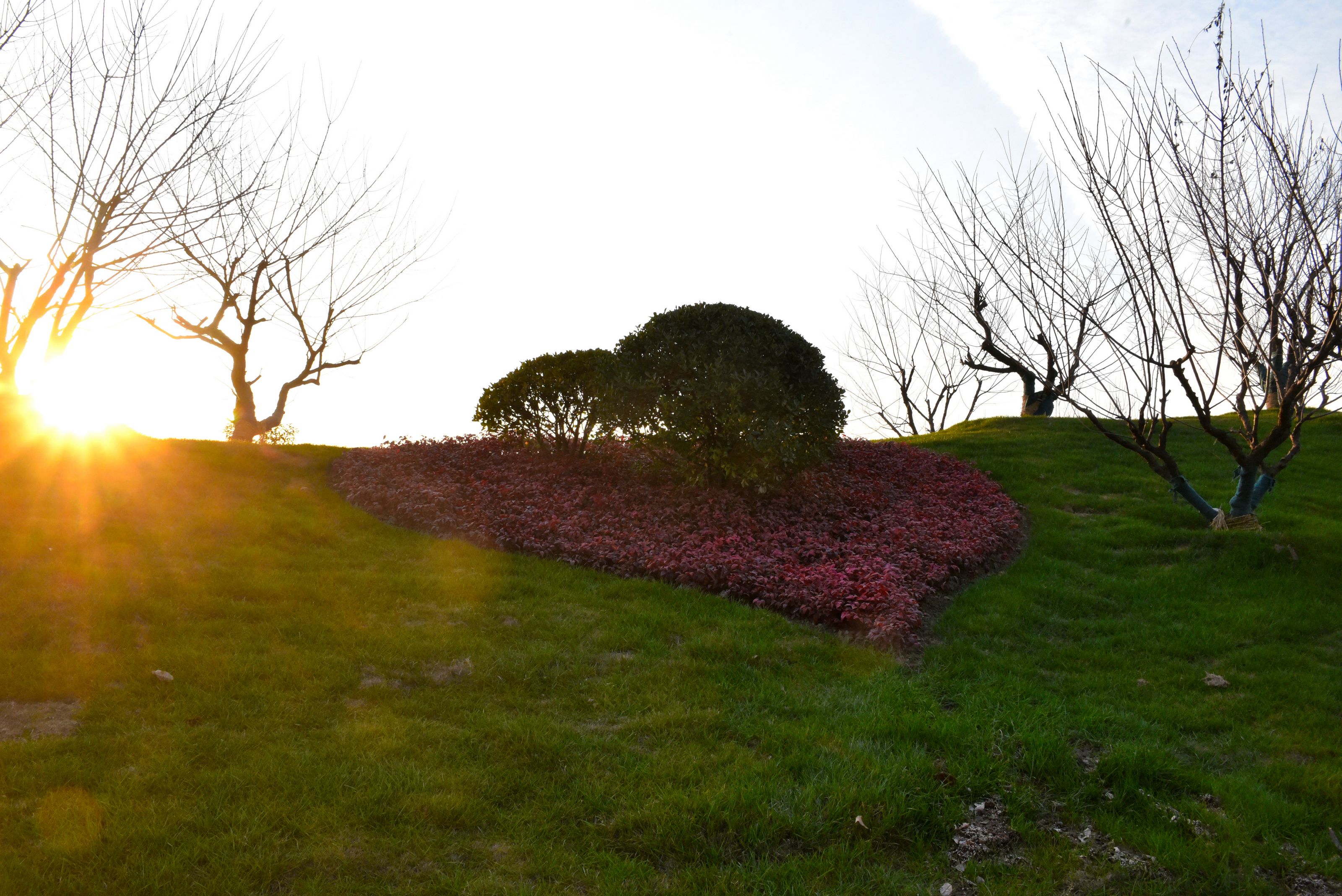 DSC_4327 n2.jpg