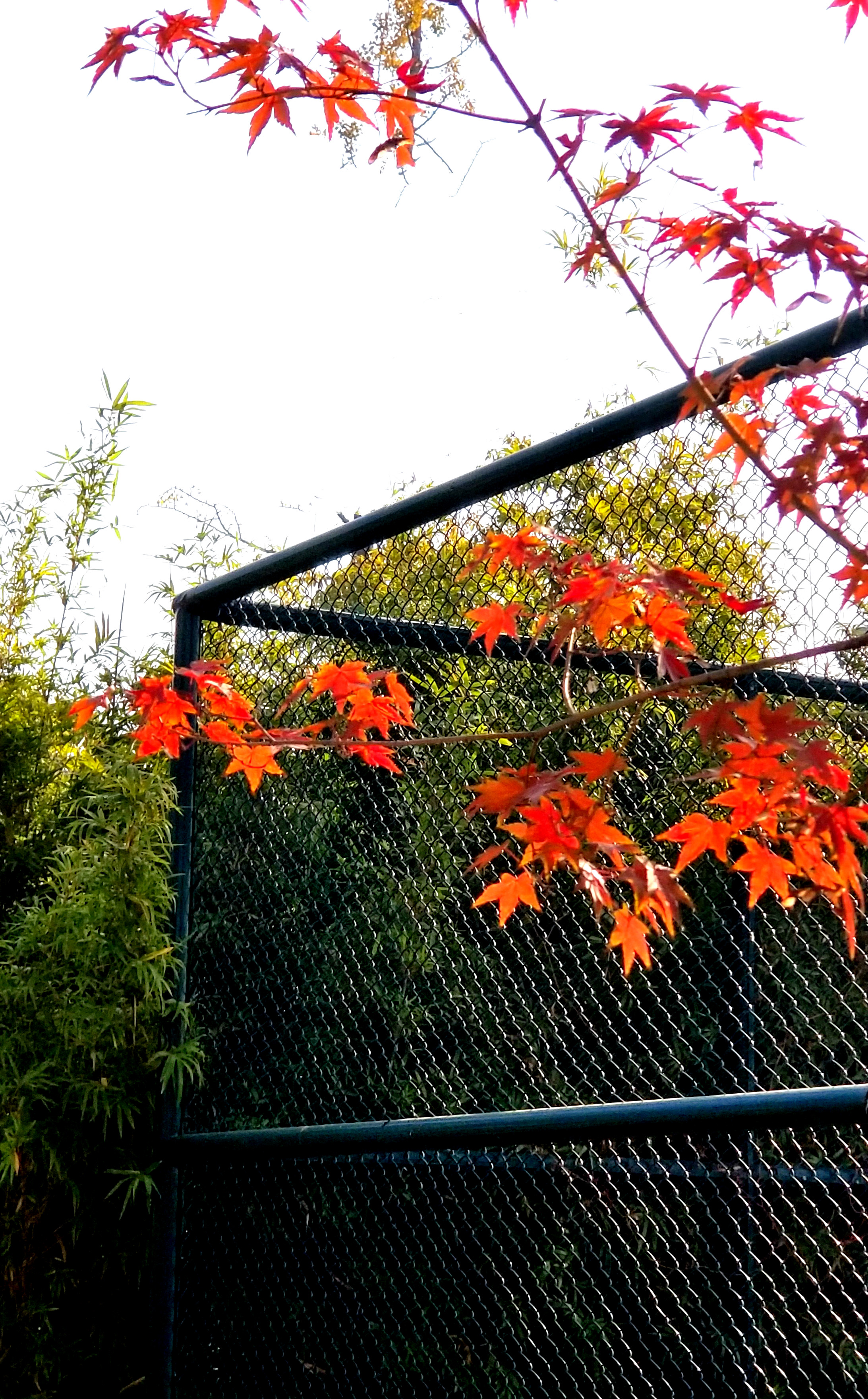 20201114_085749.jpg