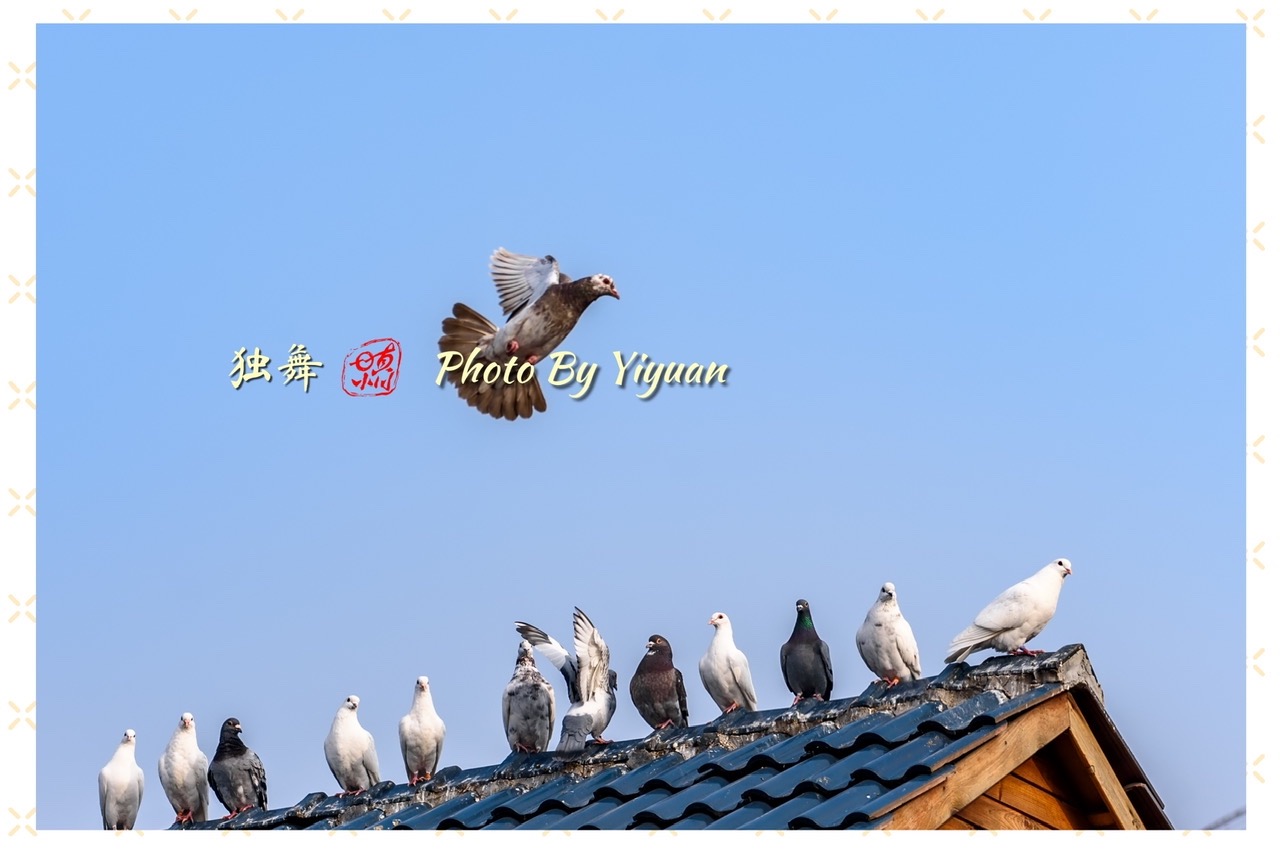56597BB5-1E89-449B-95D9-D8B024FA8D5E.jpeg