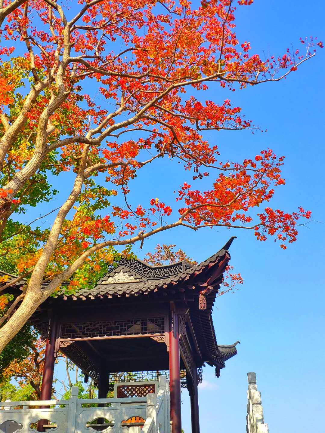 wechat_upload16087737205fe3f05865bda