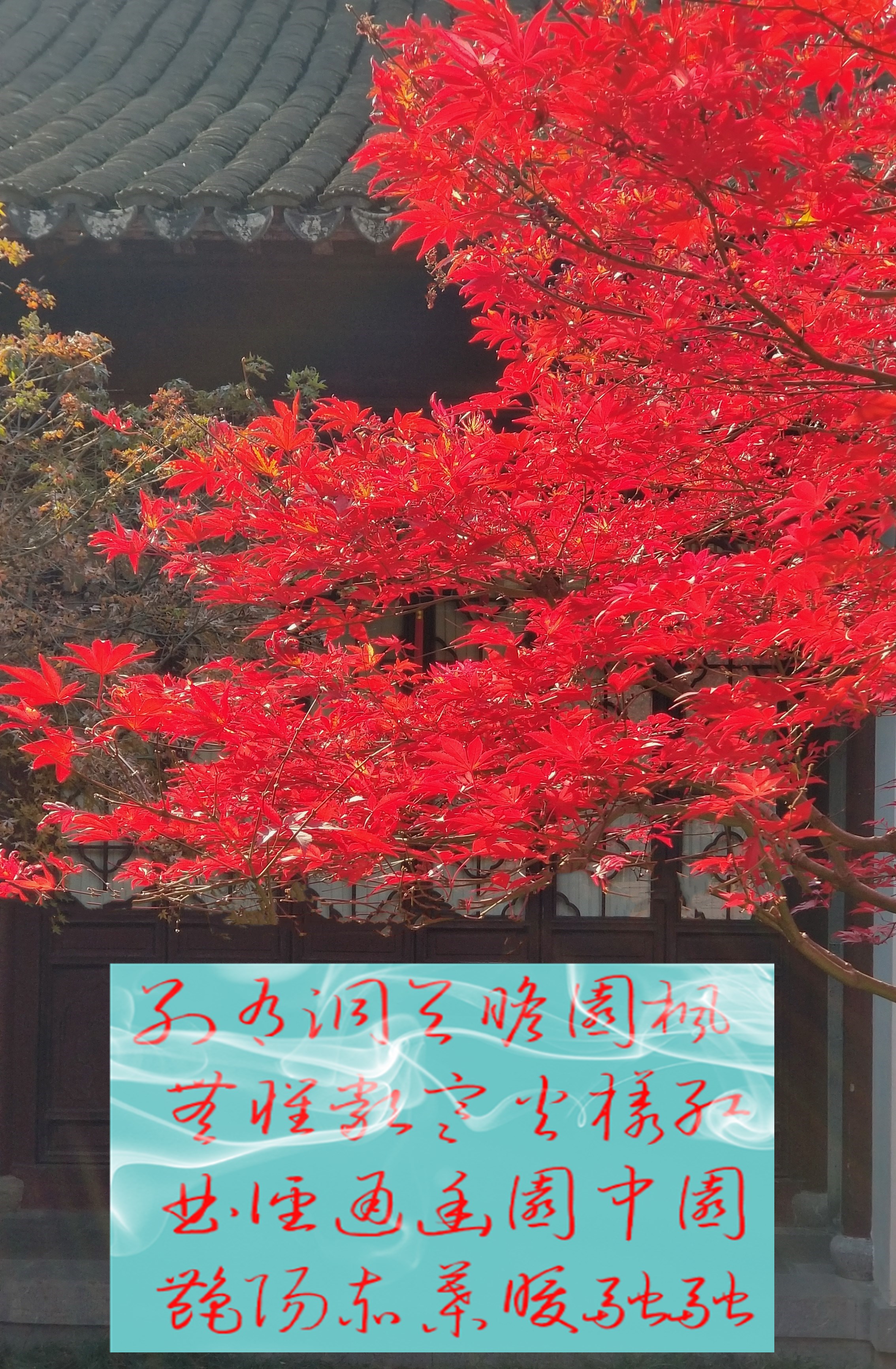 20201220_105754 n g m.jpg