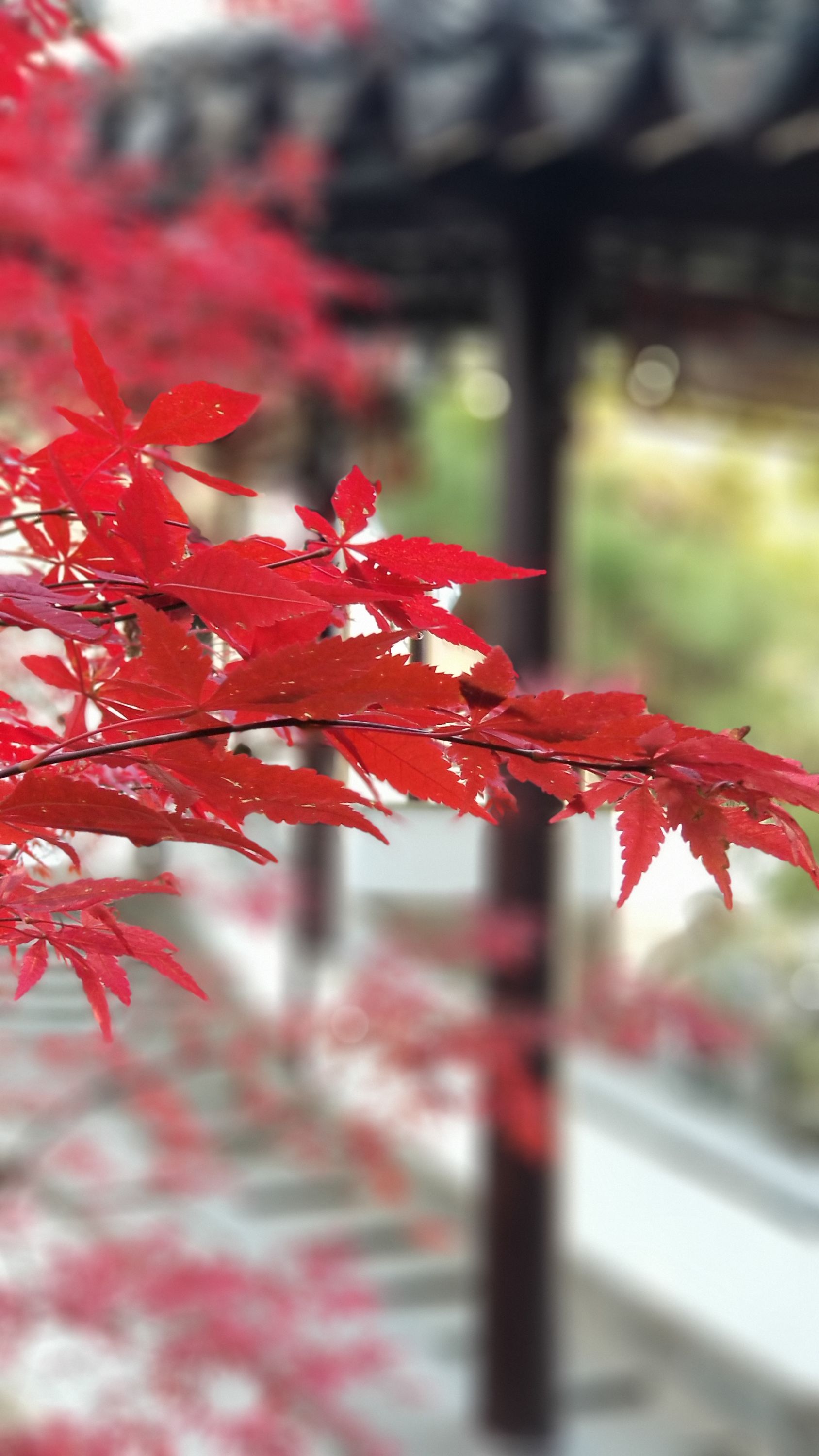 20201220_100239m.jpg