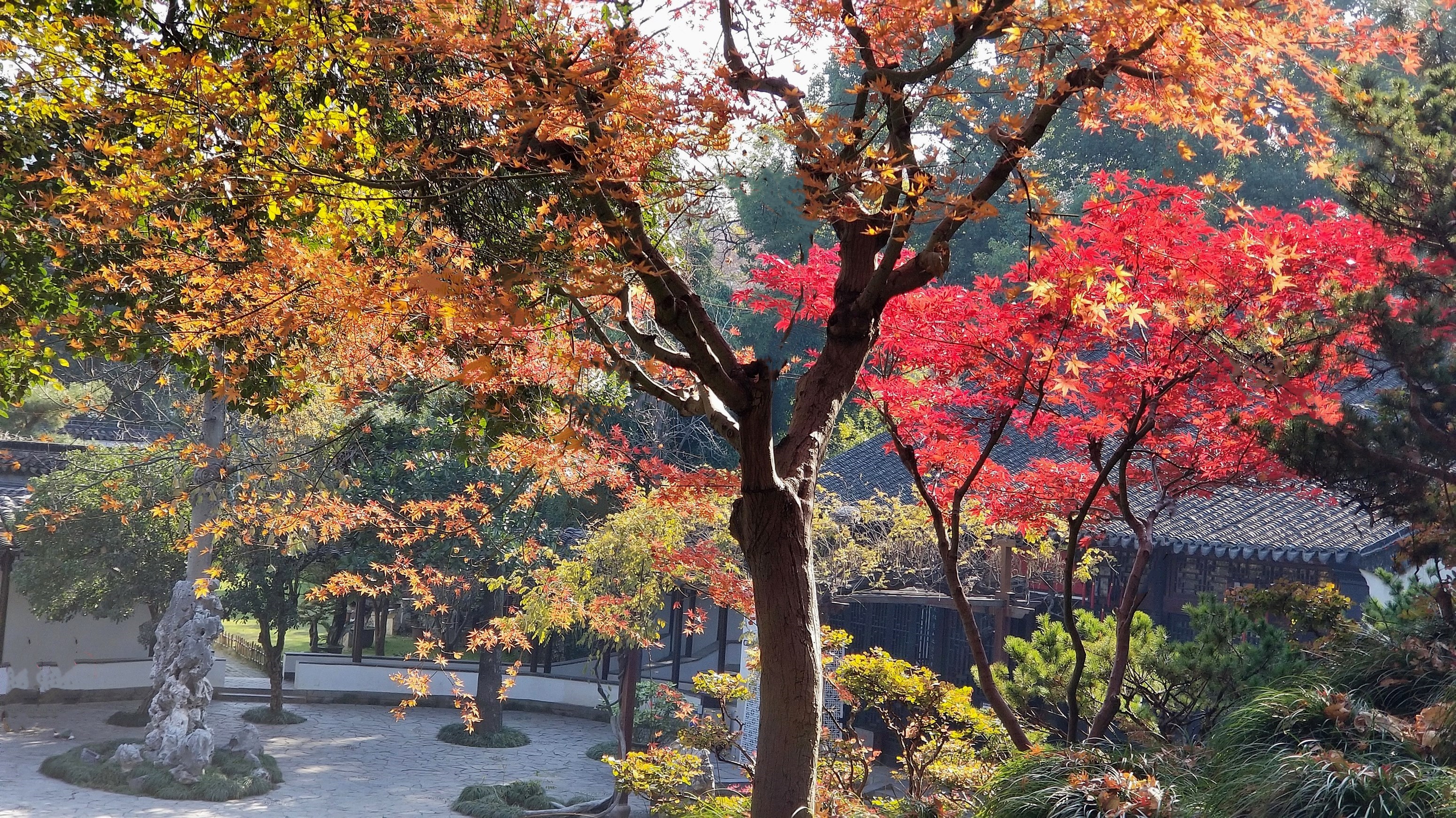 20201220_113727  n m2 m.jpg