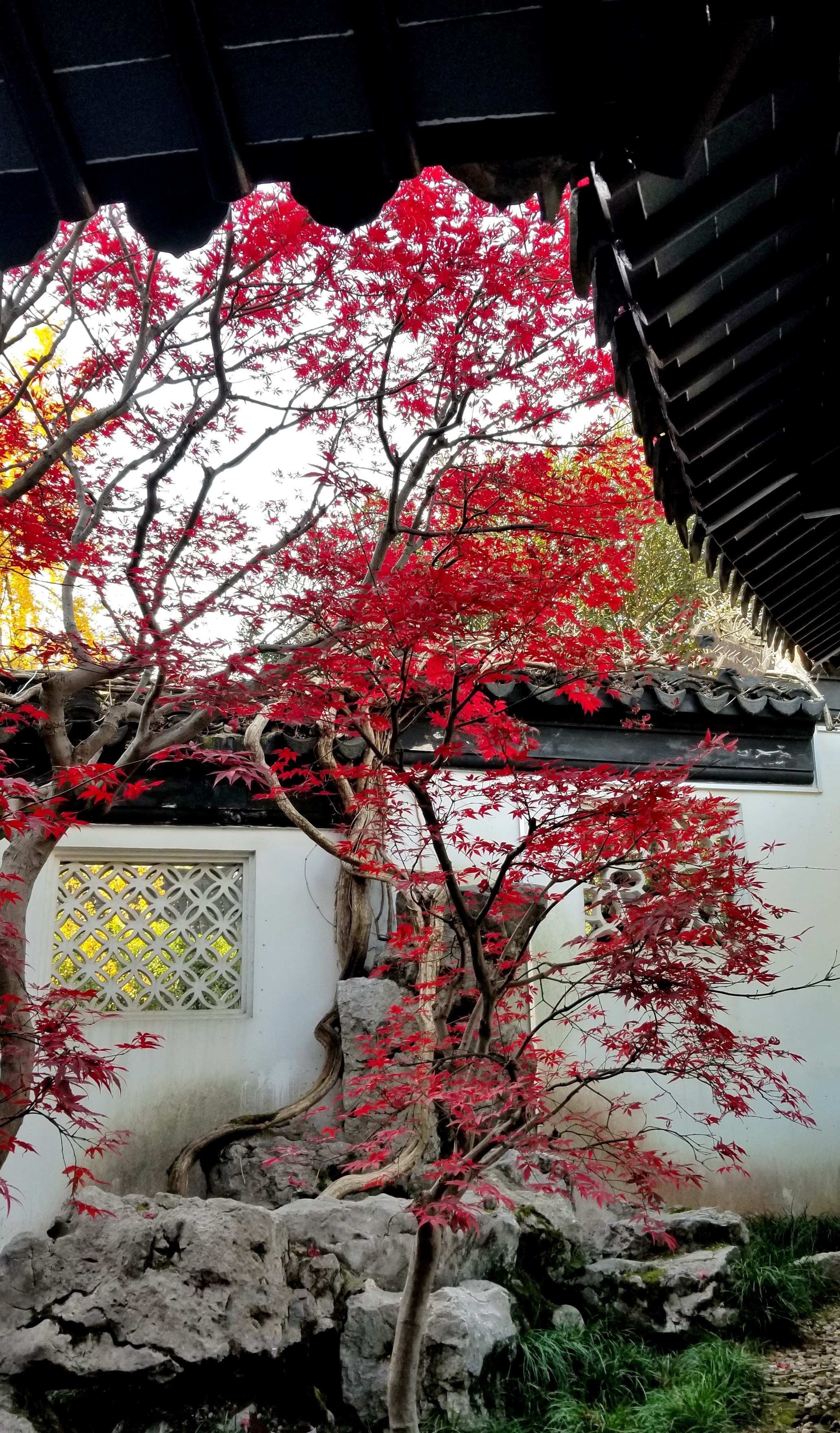 20201220_095638 n2.jpg