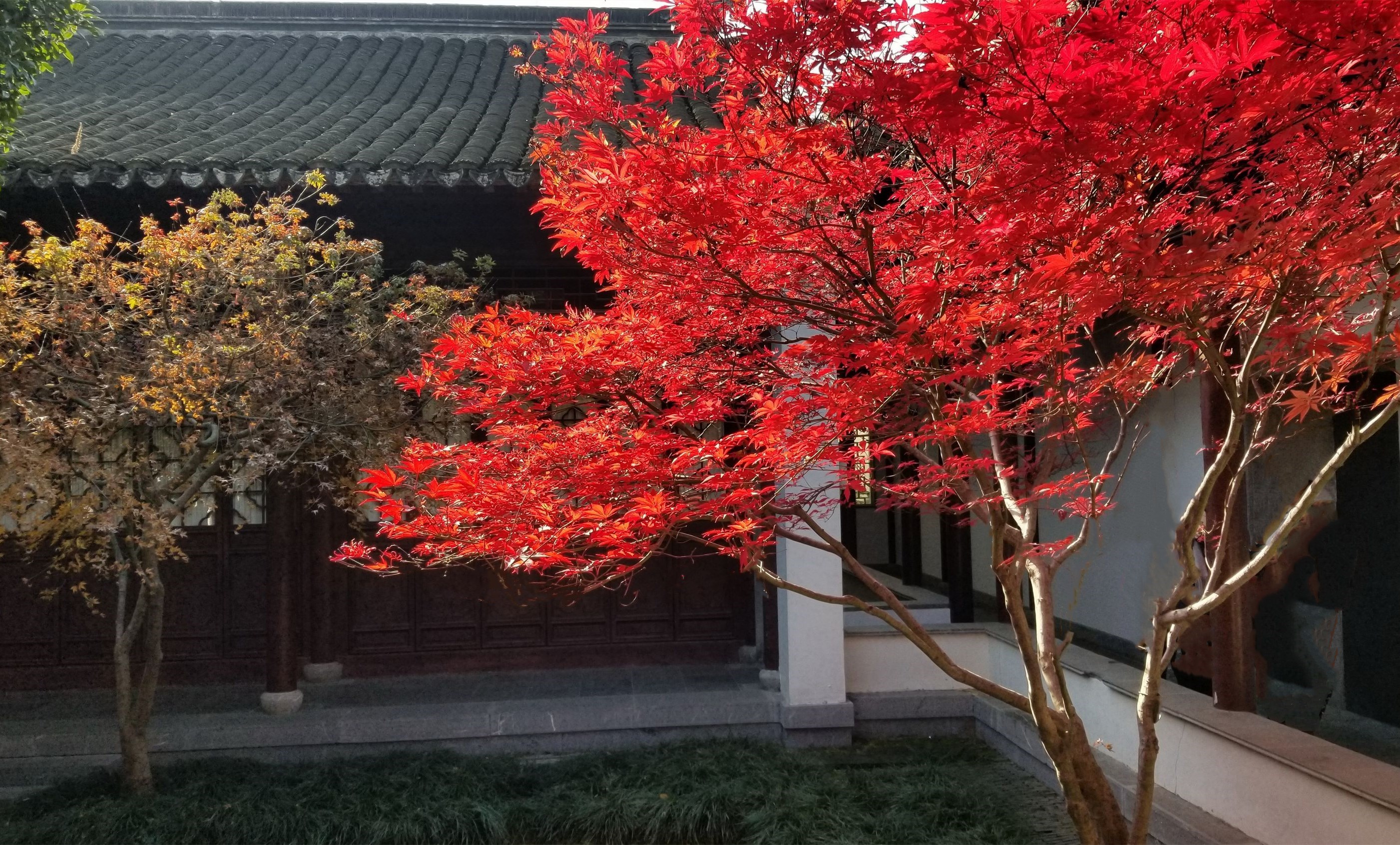 20201220_105831 n g m m.jpg