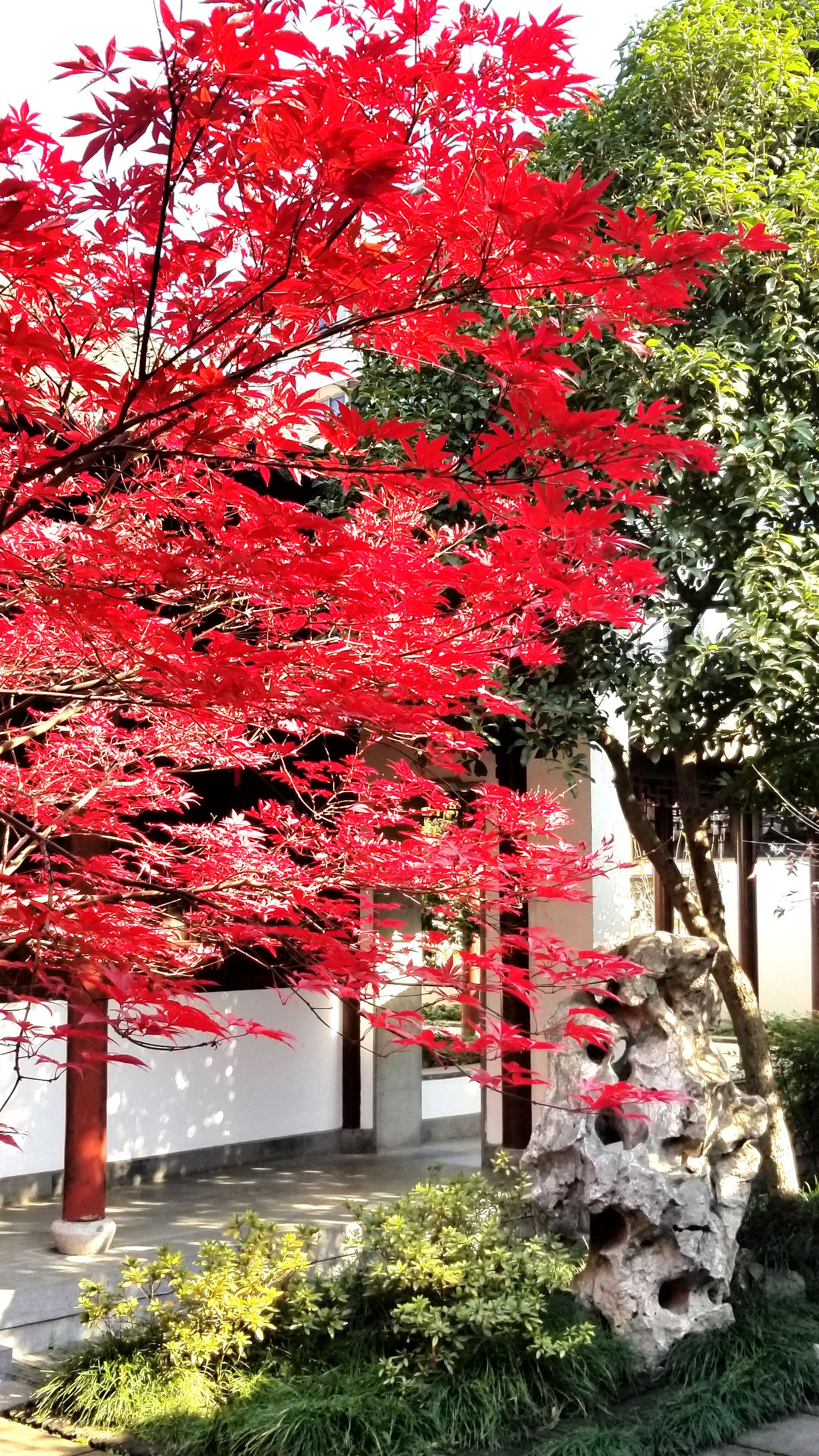 20201220_111015 m g.jpg