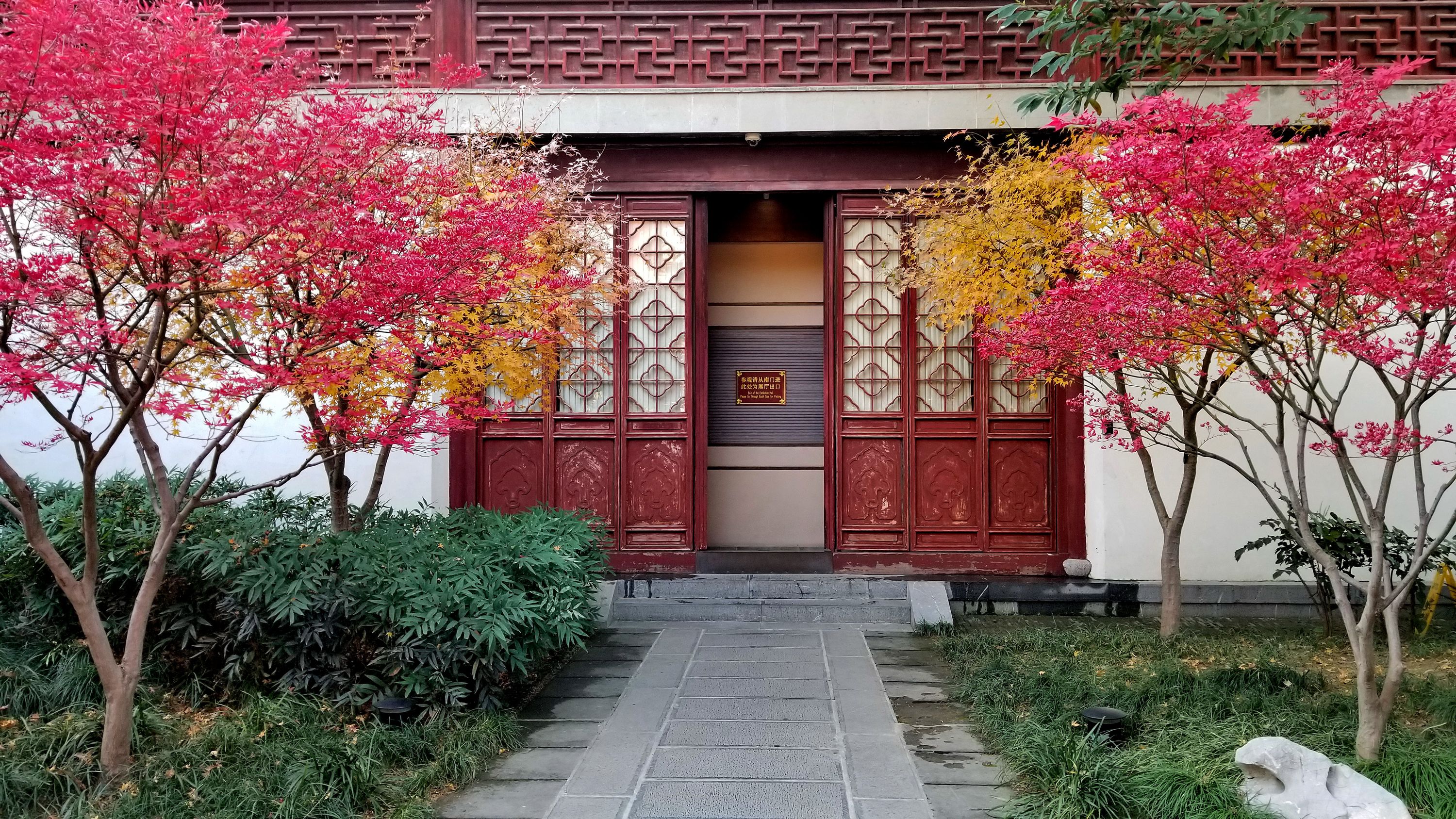 20201220_103156 n m.jpg