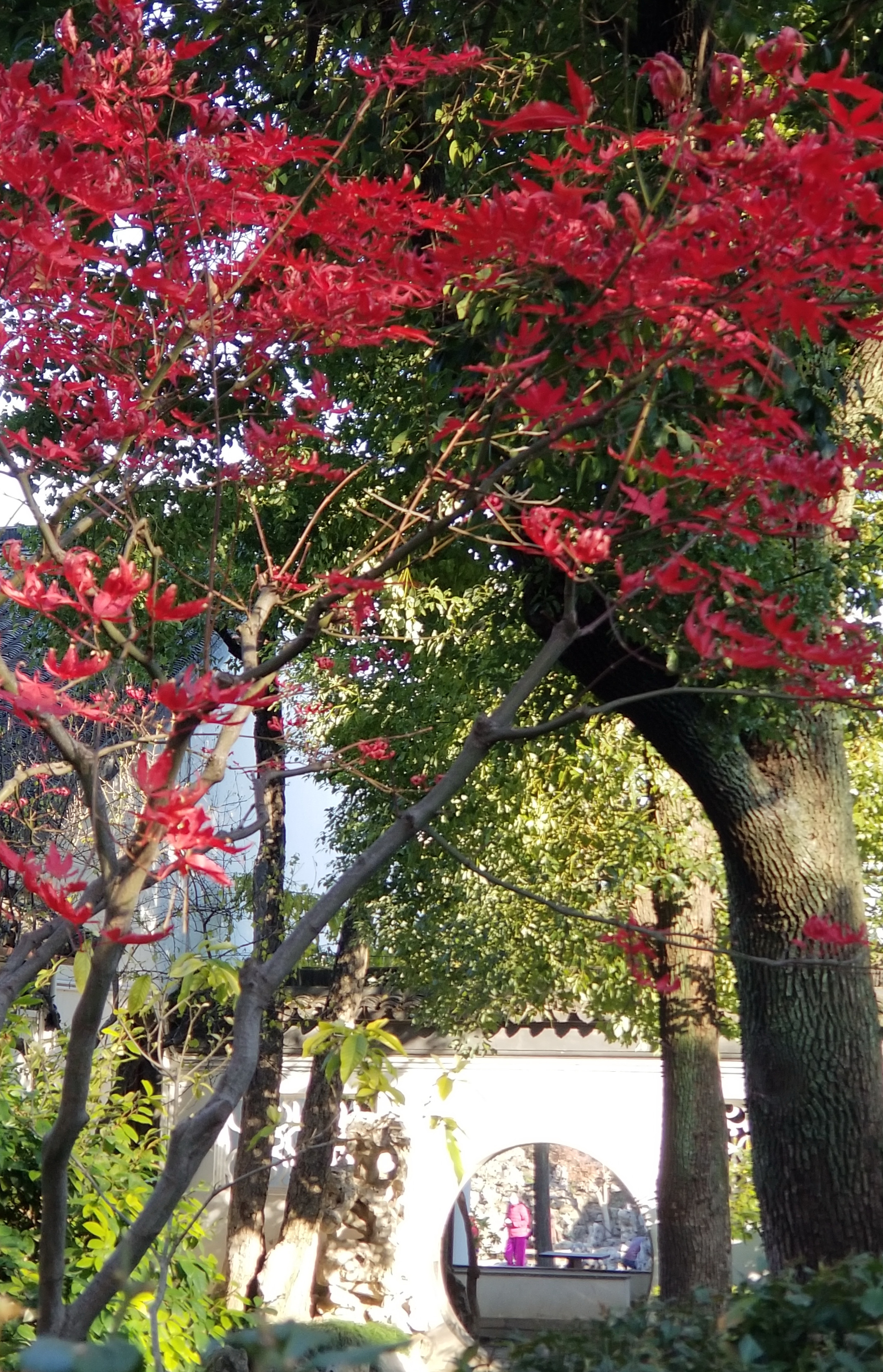 20201220_091312 n.jpg