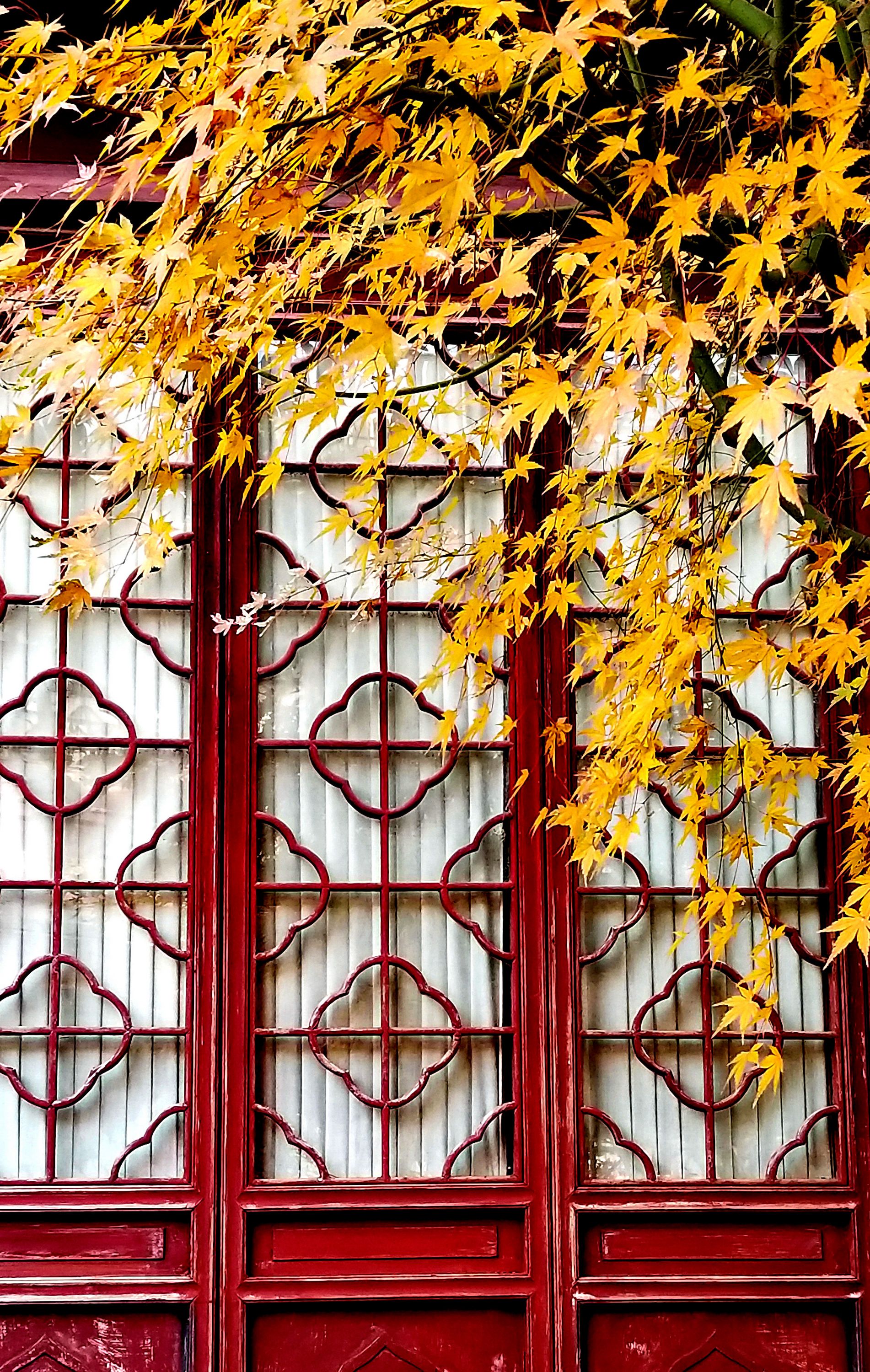 20201220_103103 n m2.jpg
