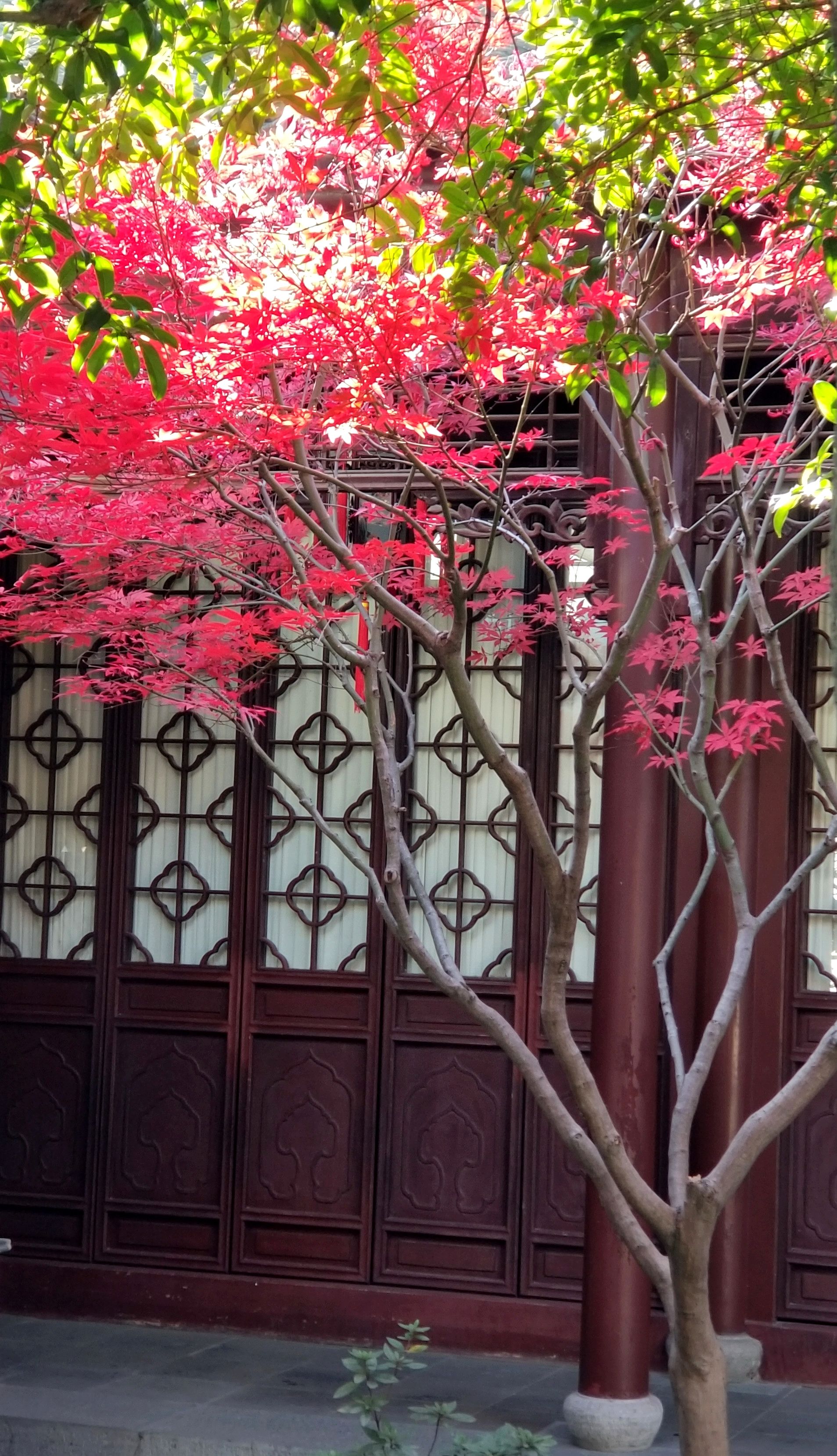 20201220_105508 n g.jpg