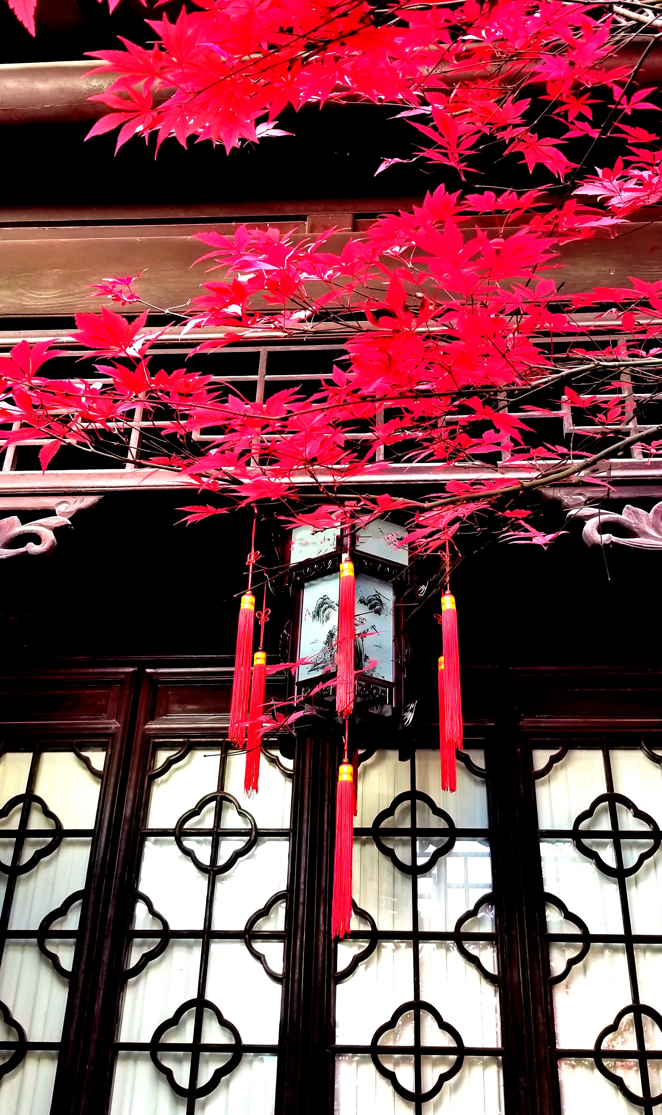 20201220_110327 m2 n m.jpg