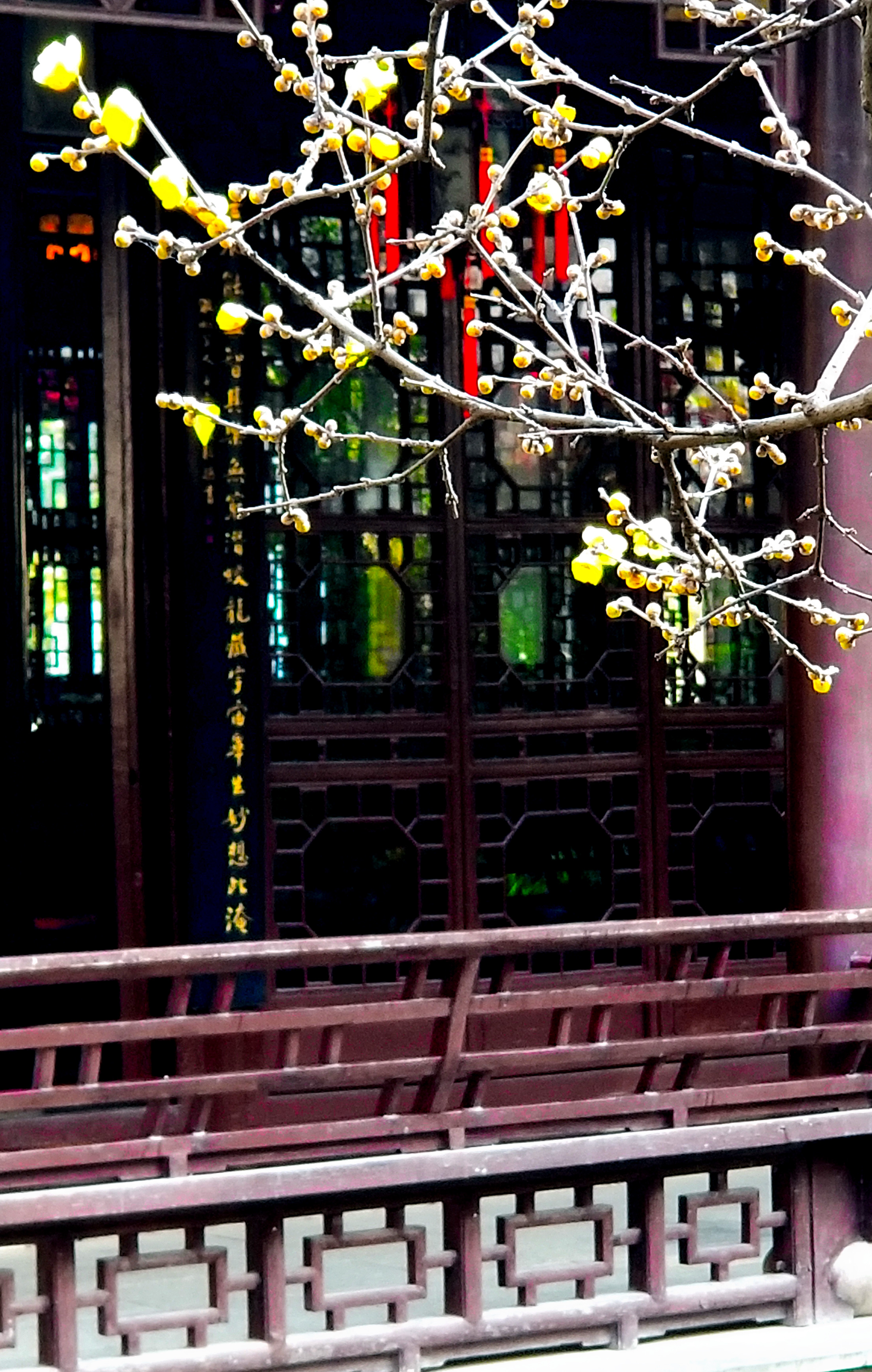 20201220_091820 n.jpg