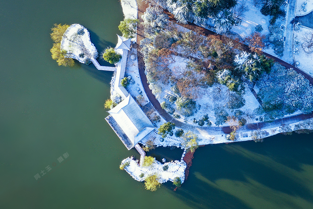 DJI_0349-1.jpg