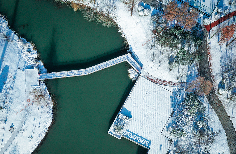 DJI_0385.jpg