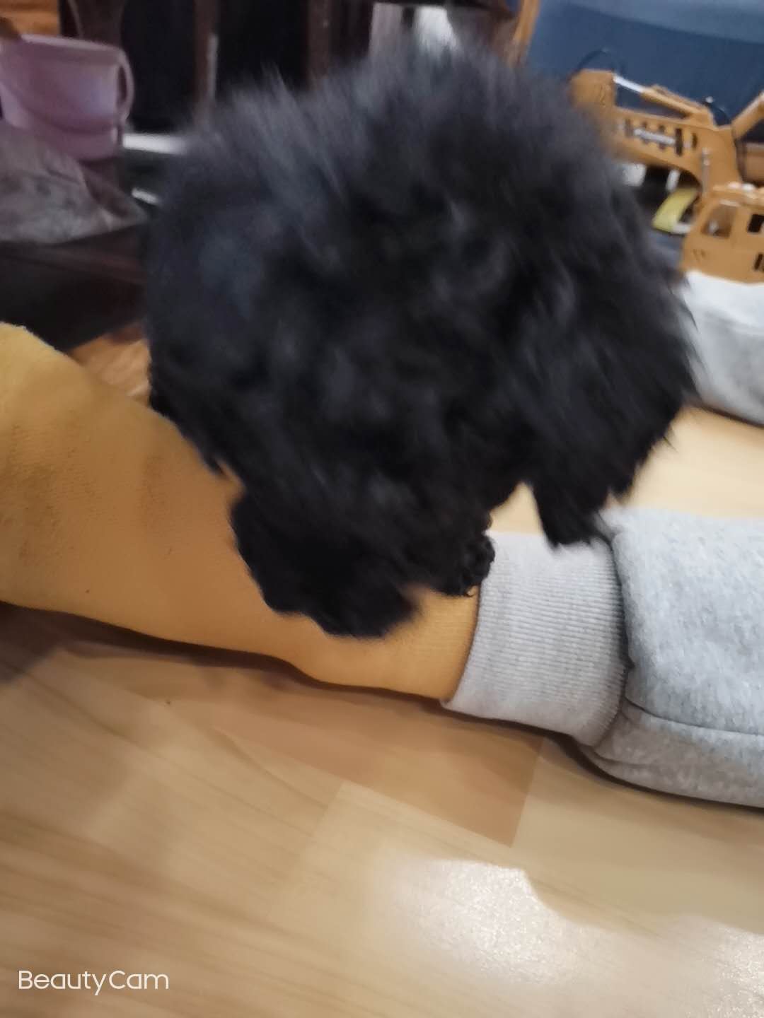 wechat_upload16095932765ff071bc7cfc8