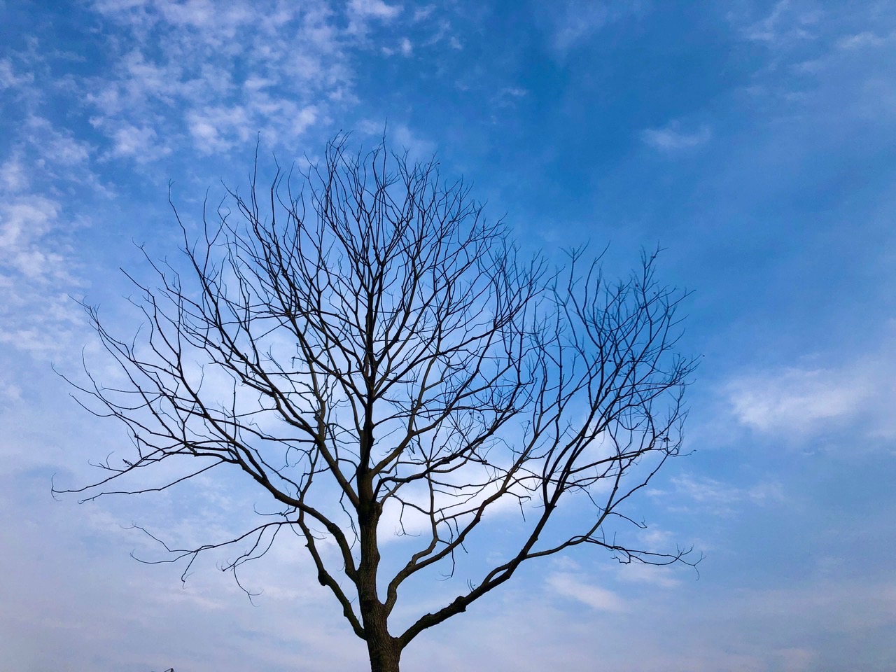 8D88008A-53F6-4EA2-8FDA-A31C12A722F8.jpeg