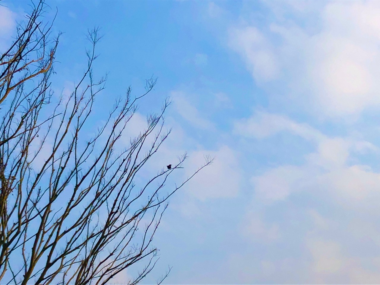 8D88008A-53F6-4EA2-8FDA-A31C12A722F8.jpeg