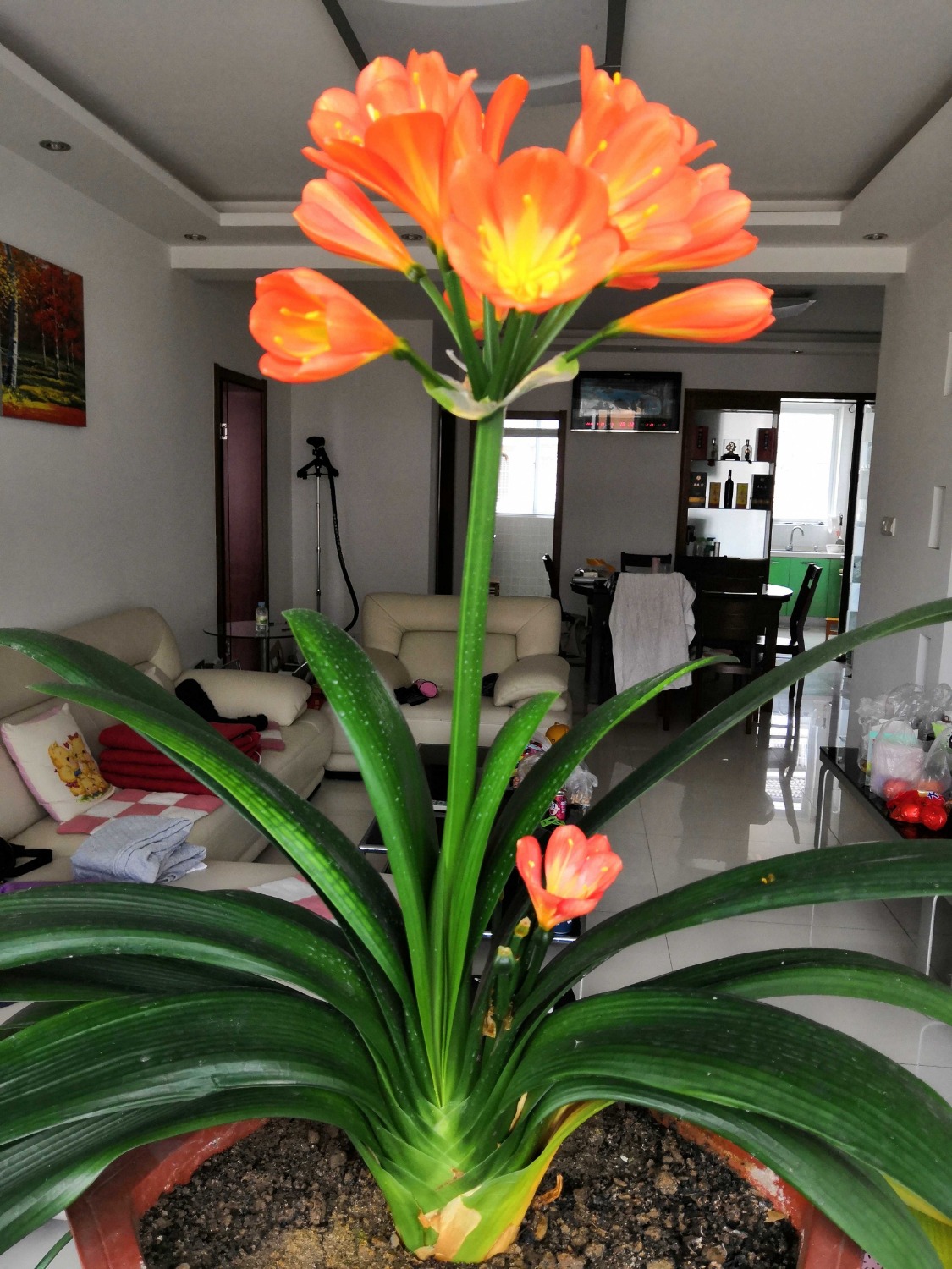 IMG_20190329_155223.jpg