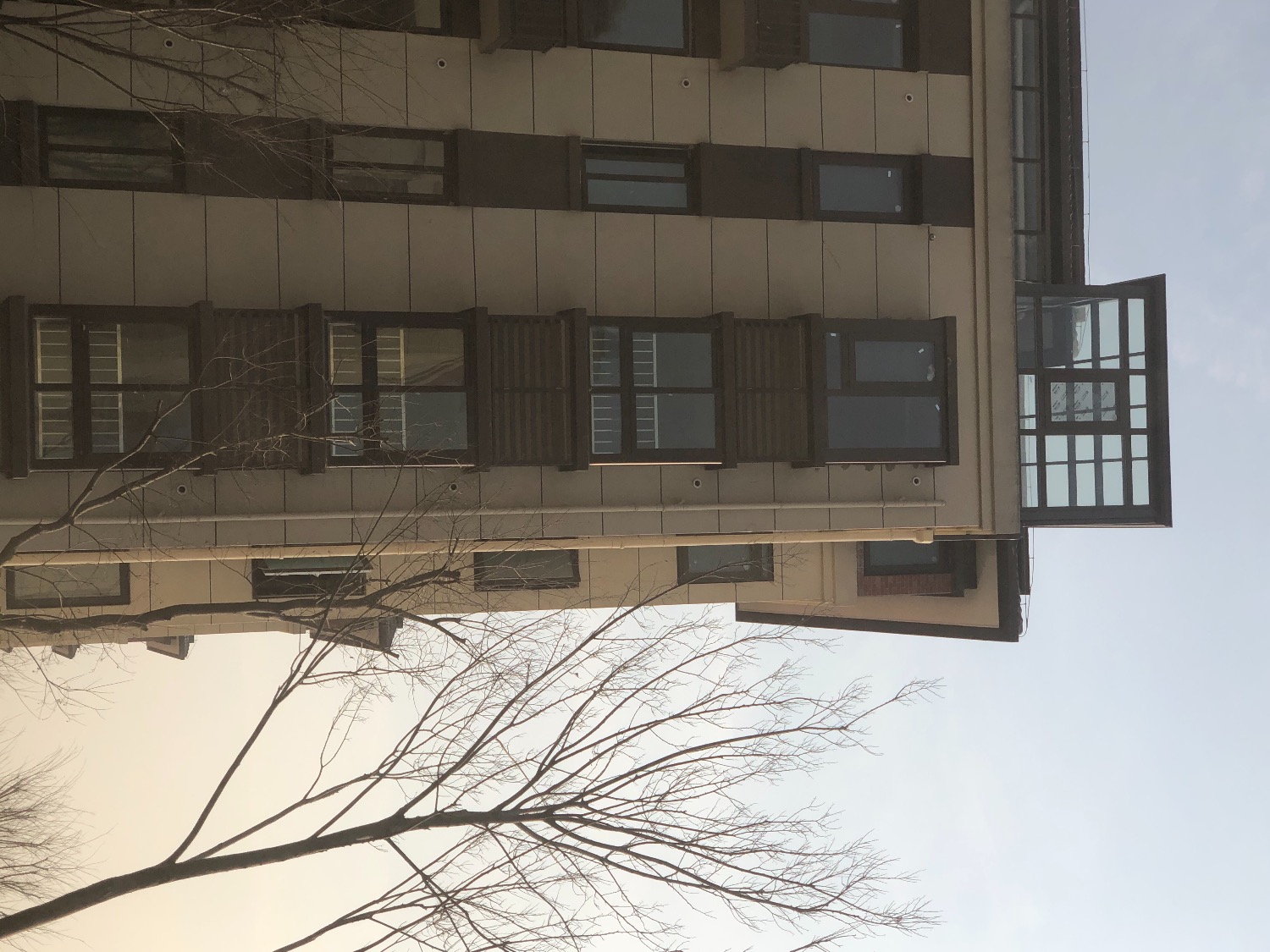 B6AEADE3-63D1-4309-8106-DCA1B39E5DBB.jpeg