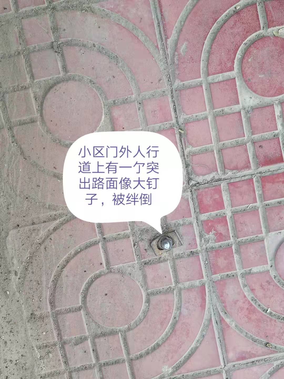 mmexport1611152081303.jpg
