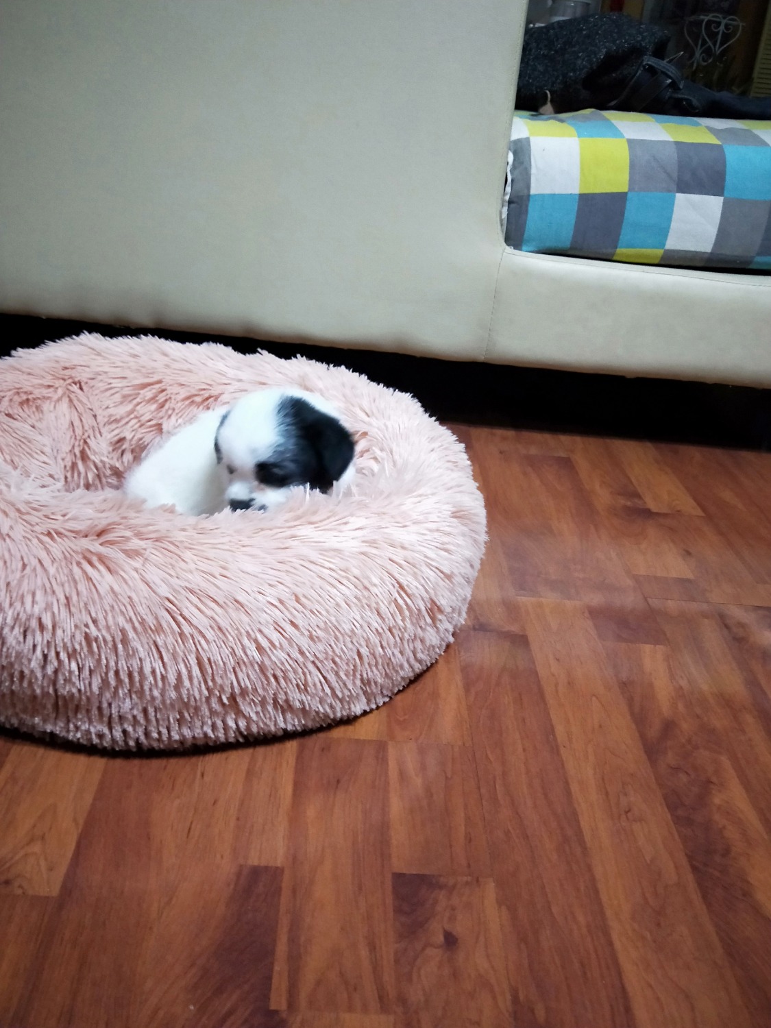 IMG20210222232558.jpg