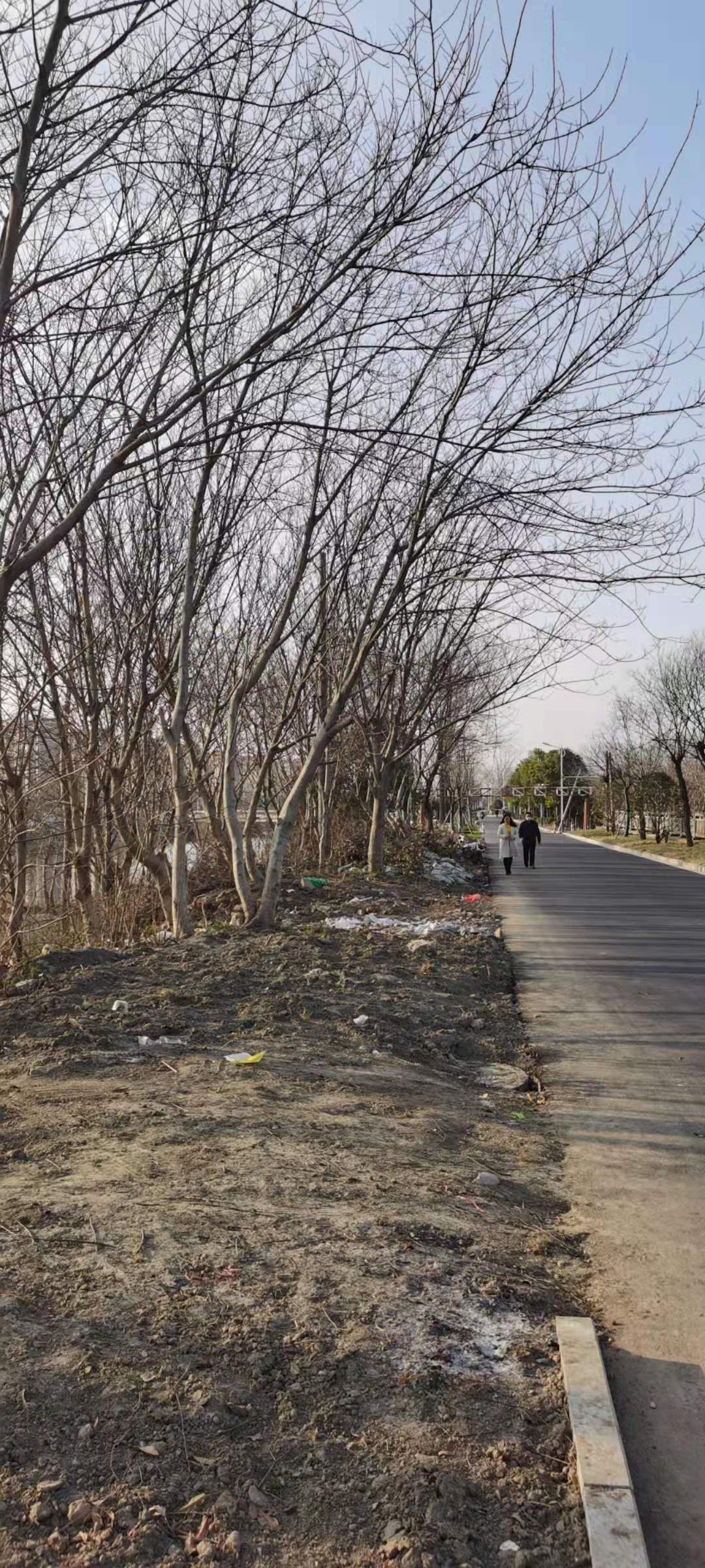 象一块伤疤