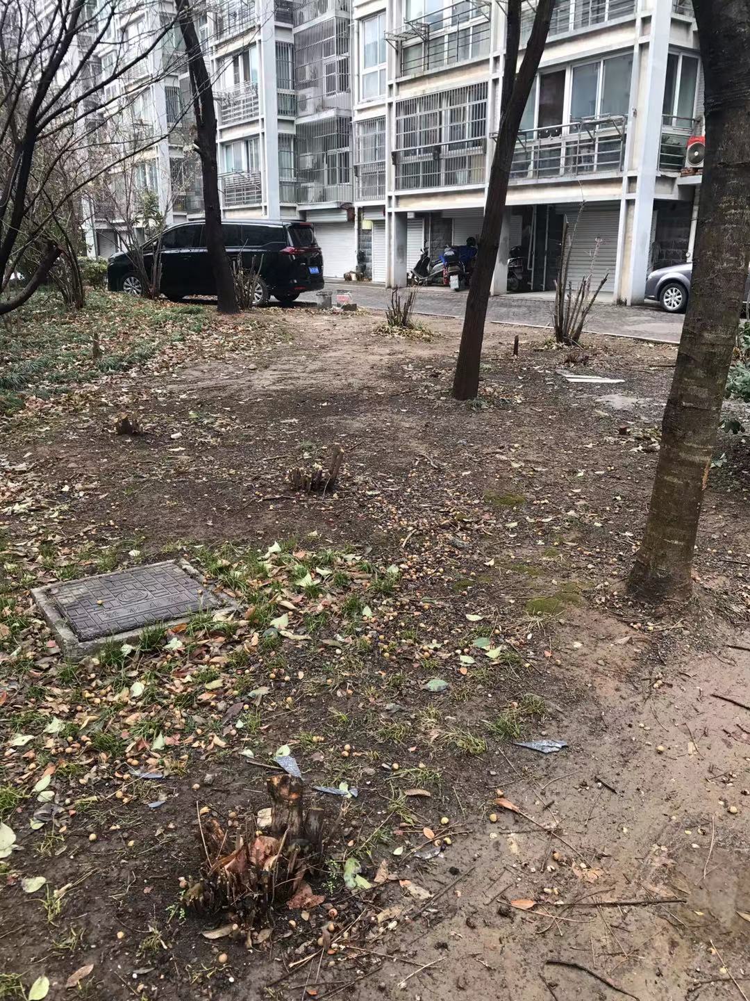 微信图片_20210223111639.jpg