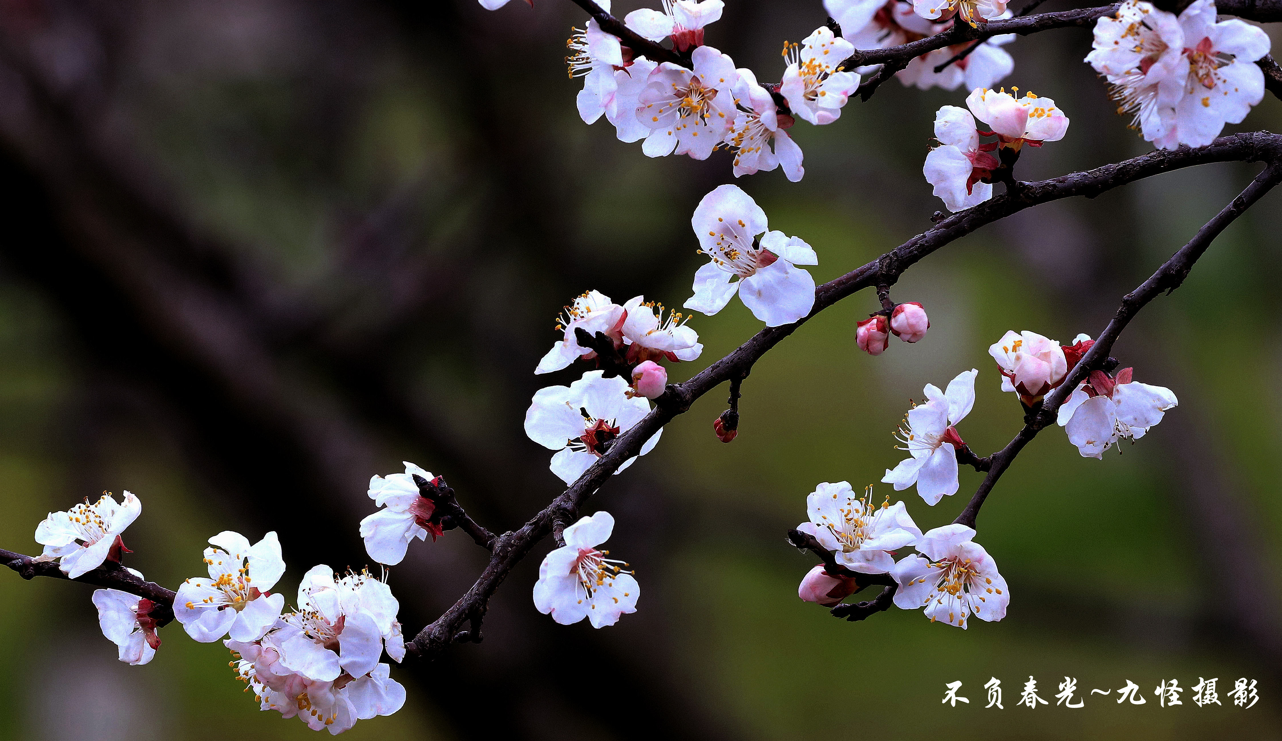 _MG_6958_副本.jpg