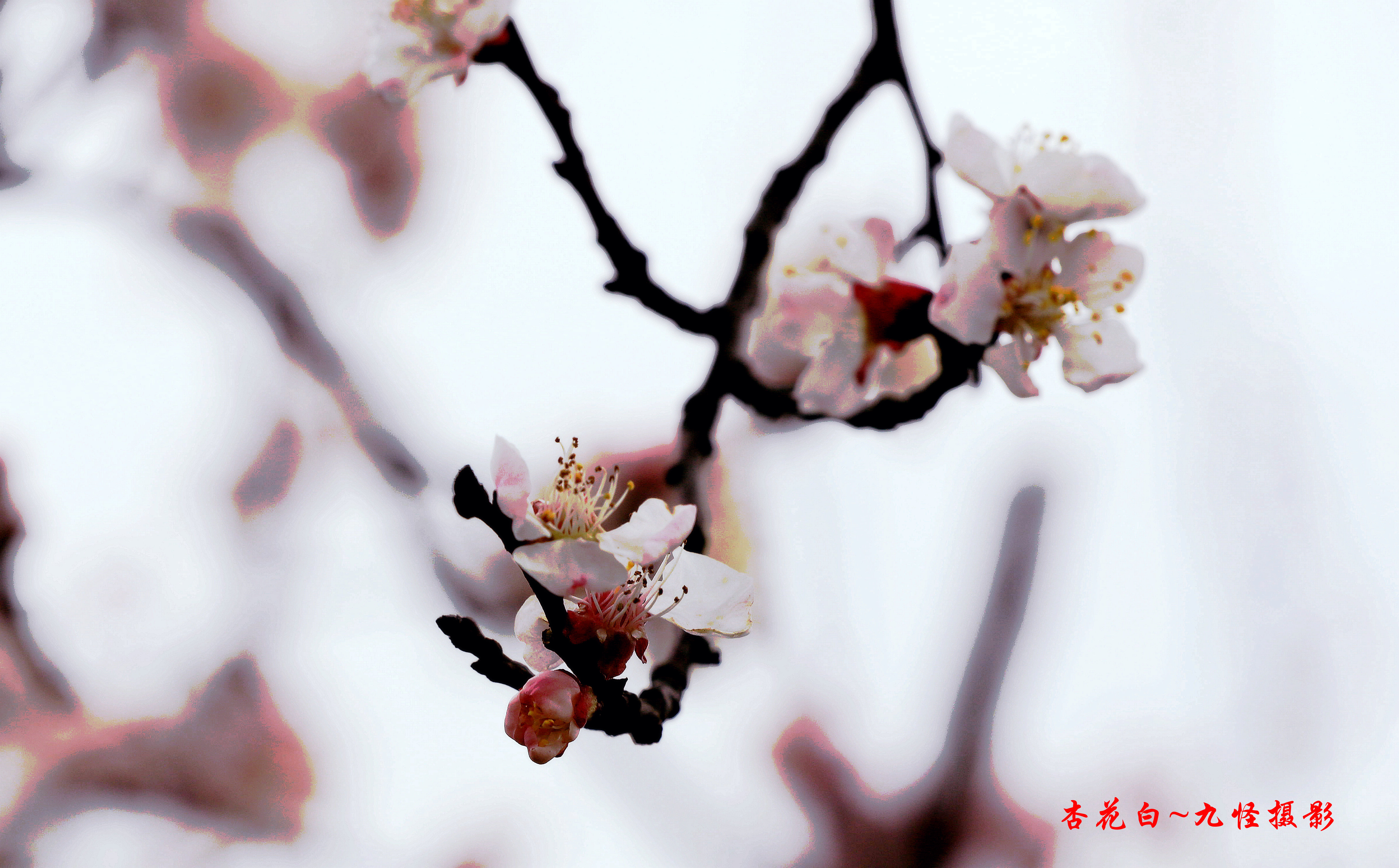 _MG_6959_副本.jpg
