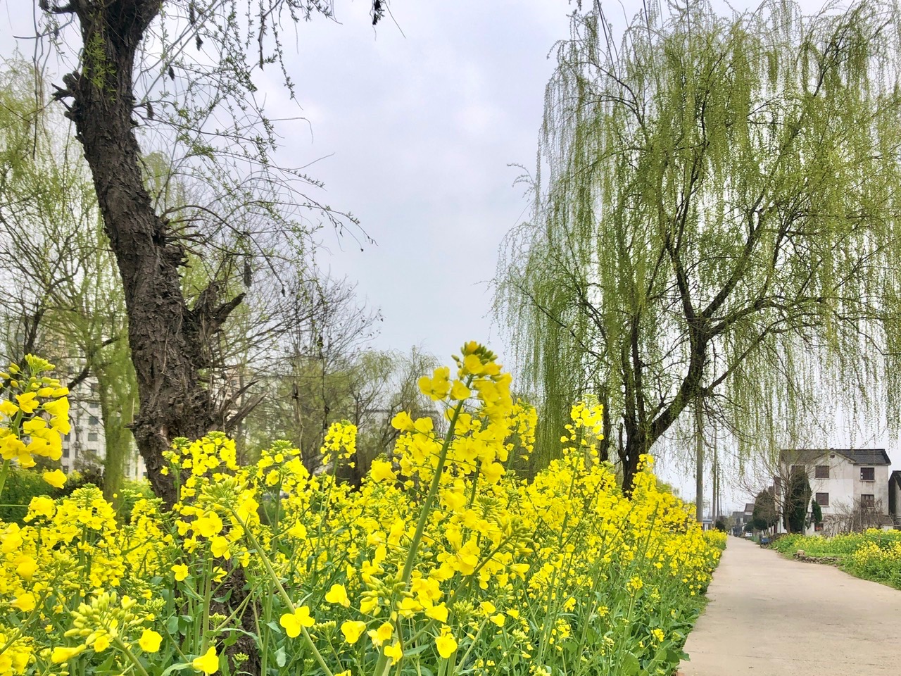 A4EFEB71-C229-45FD-87CC-B107C8FCC4D0.jpeg