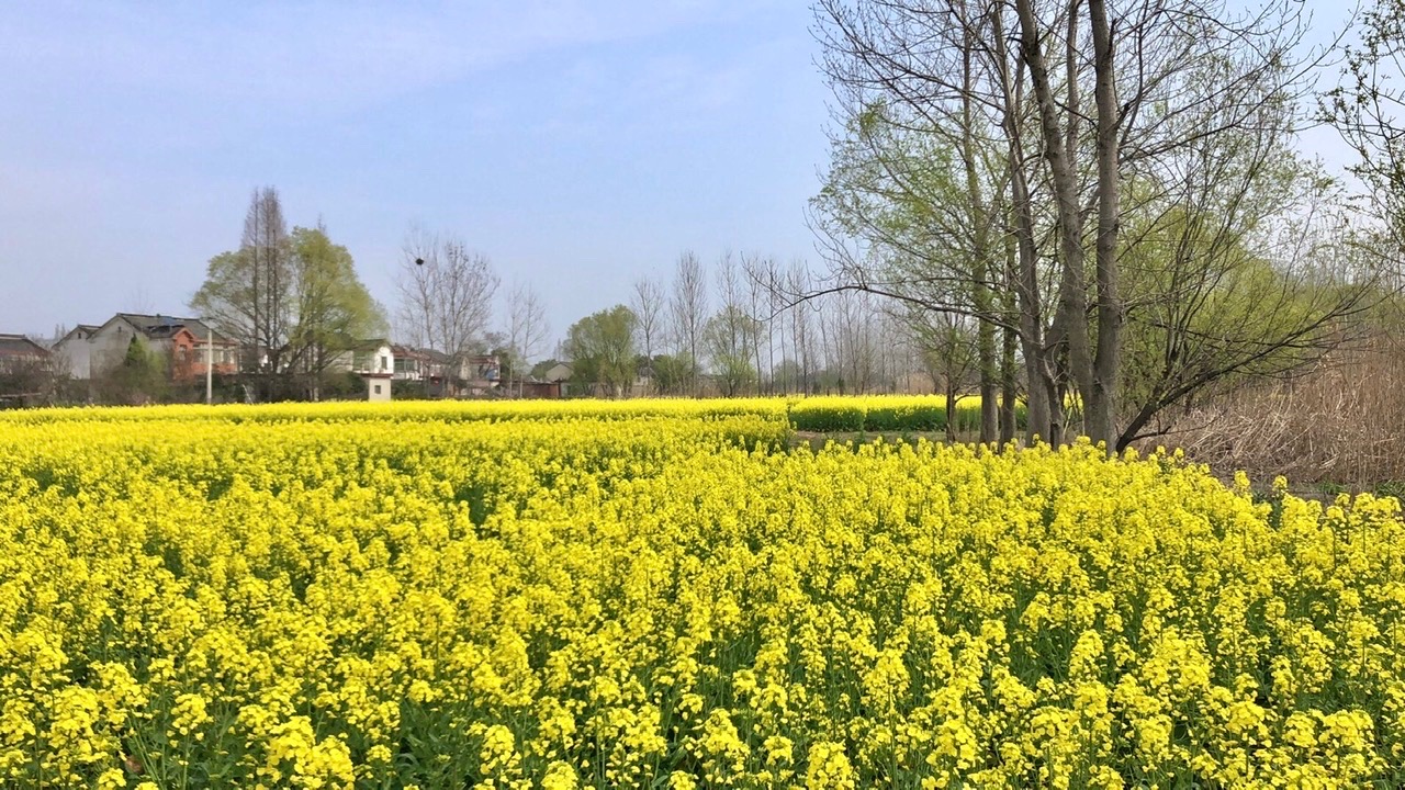 A4EFEB71-C229-45FD-87CC-B107C8FCC4D0.jpeg