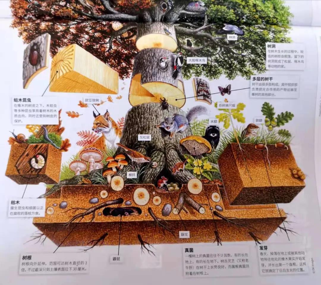 微信图片_20210319091508.jpg