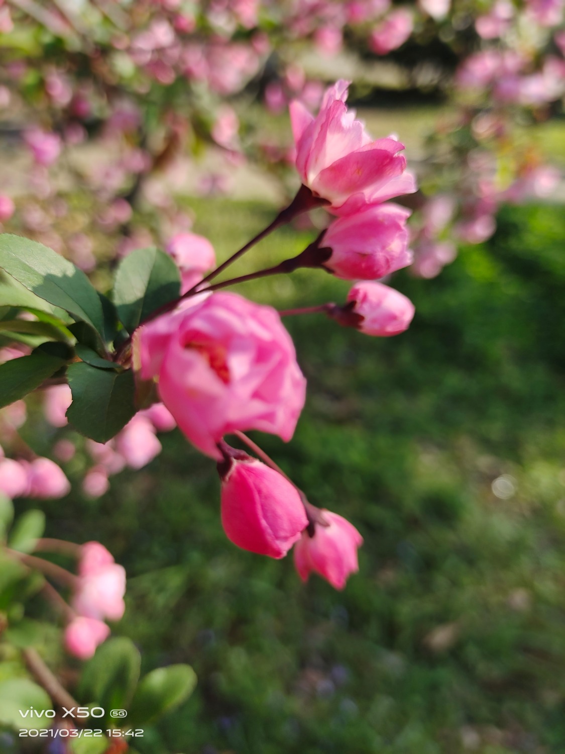 IMG_20210322_154157.jpg