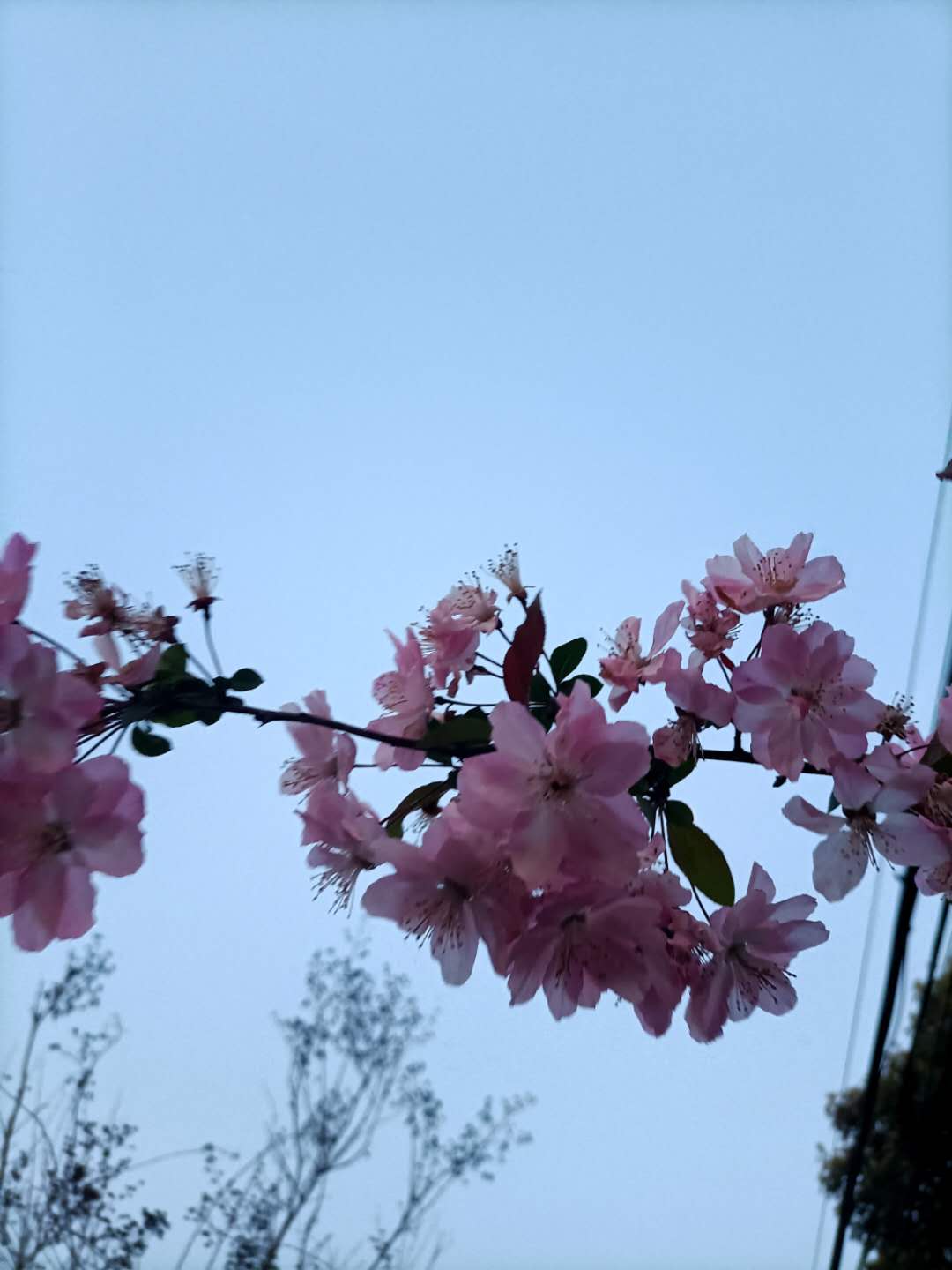 wechat_upload1616724543605d423f64651