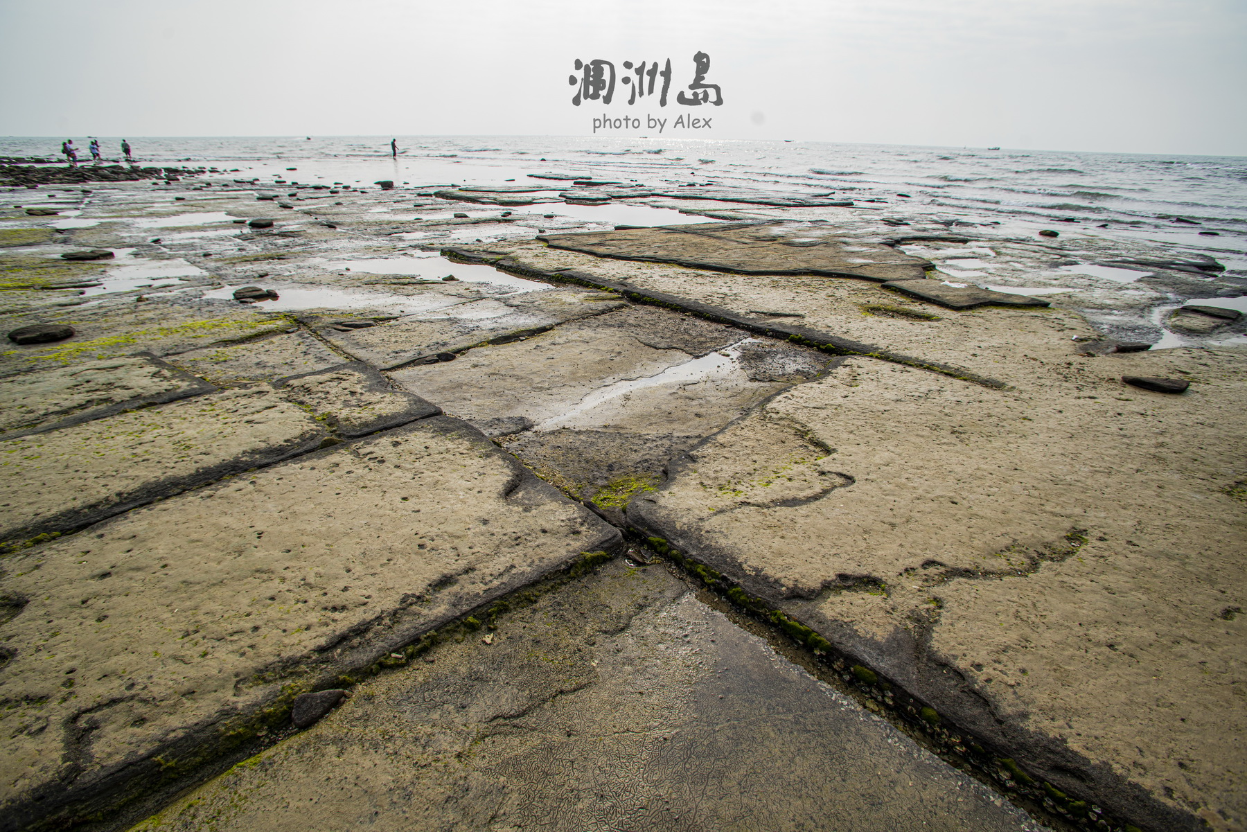 DSC04447_调整大小.jpg